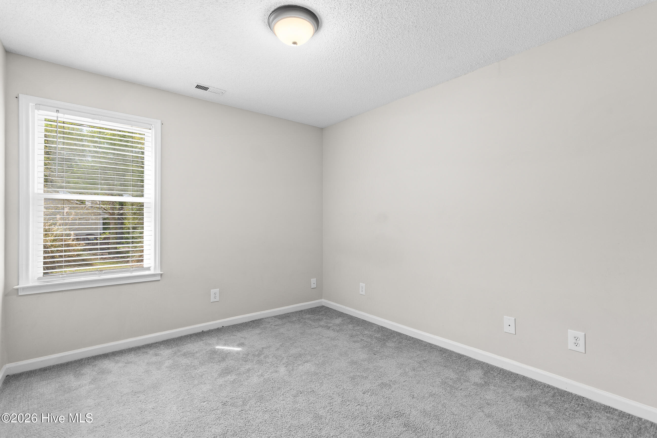 100565392 | Photo 21