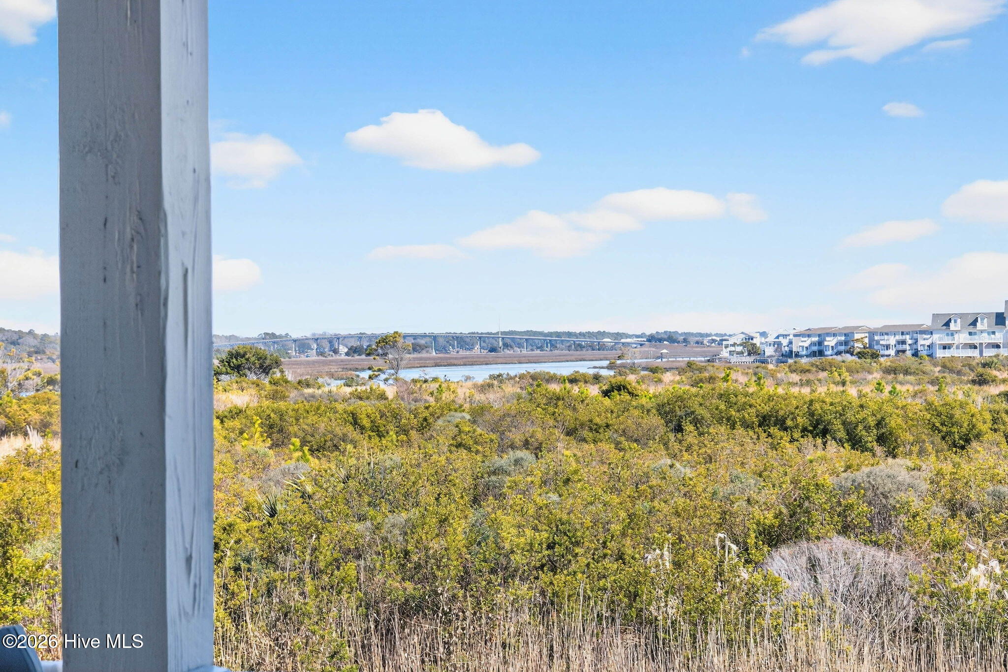 100555229 | Photo 43