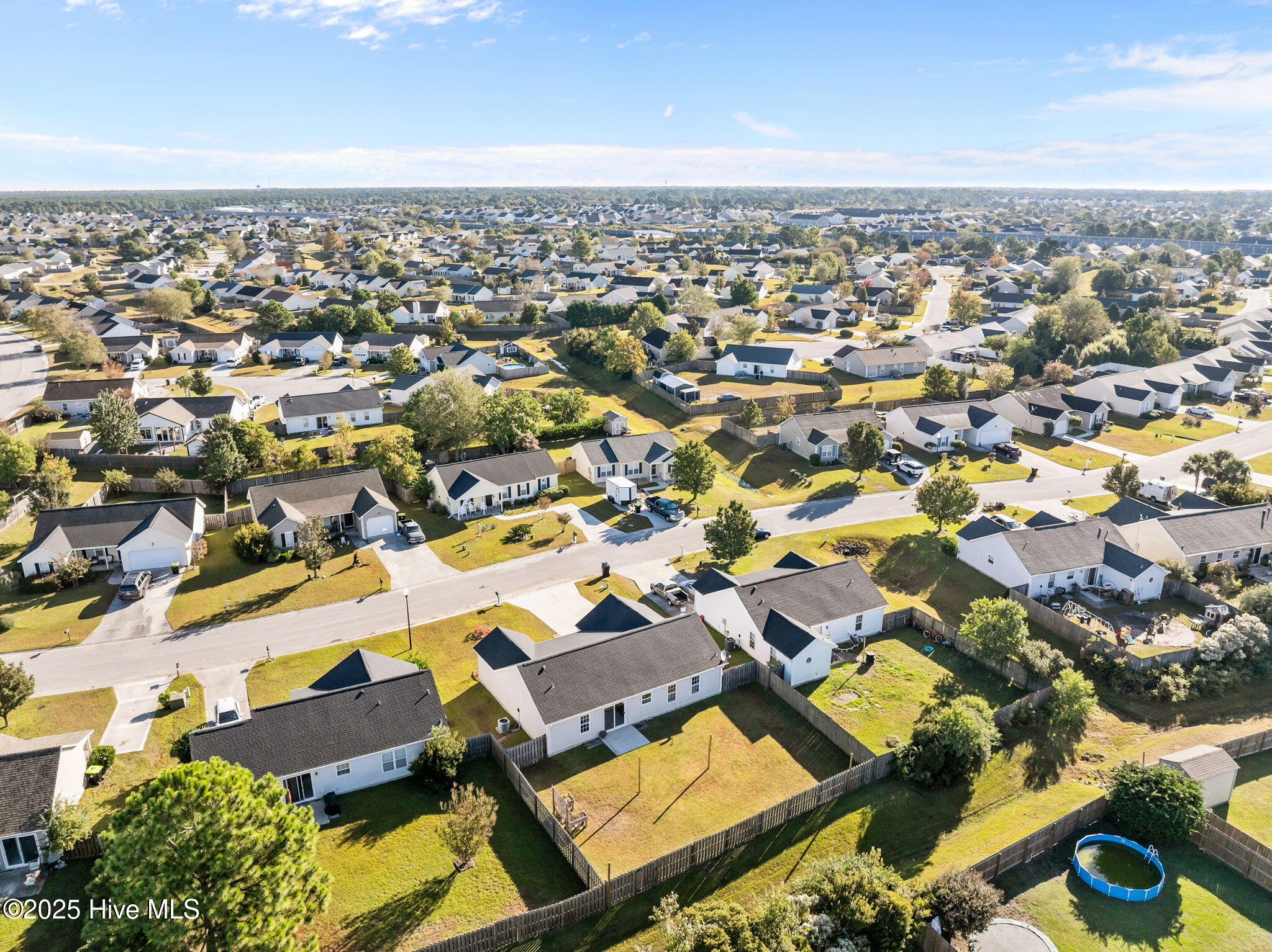 100537521 | Photo 45