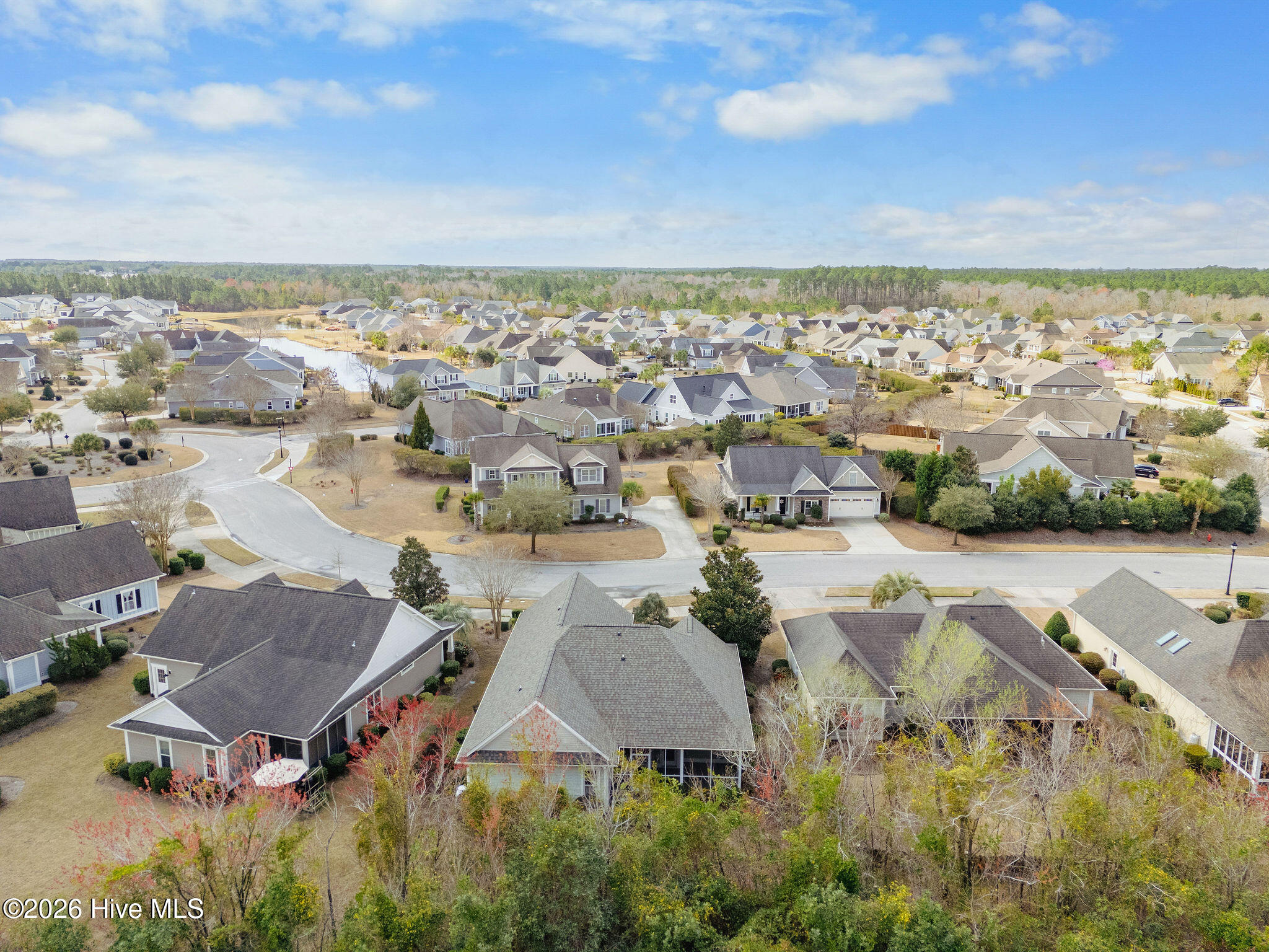 100565690 | Photo 48