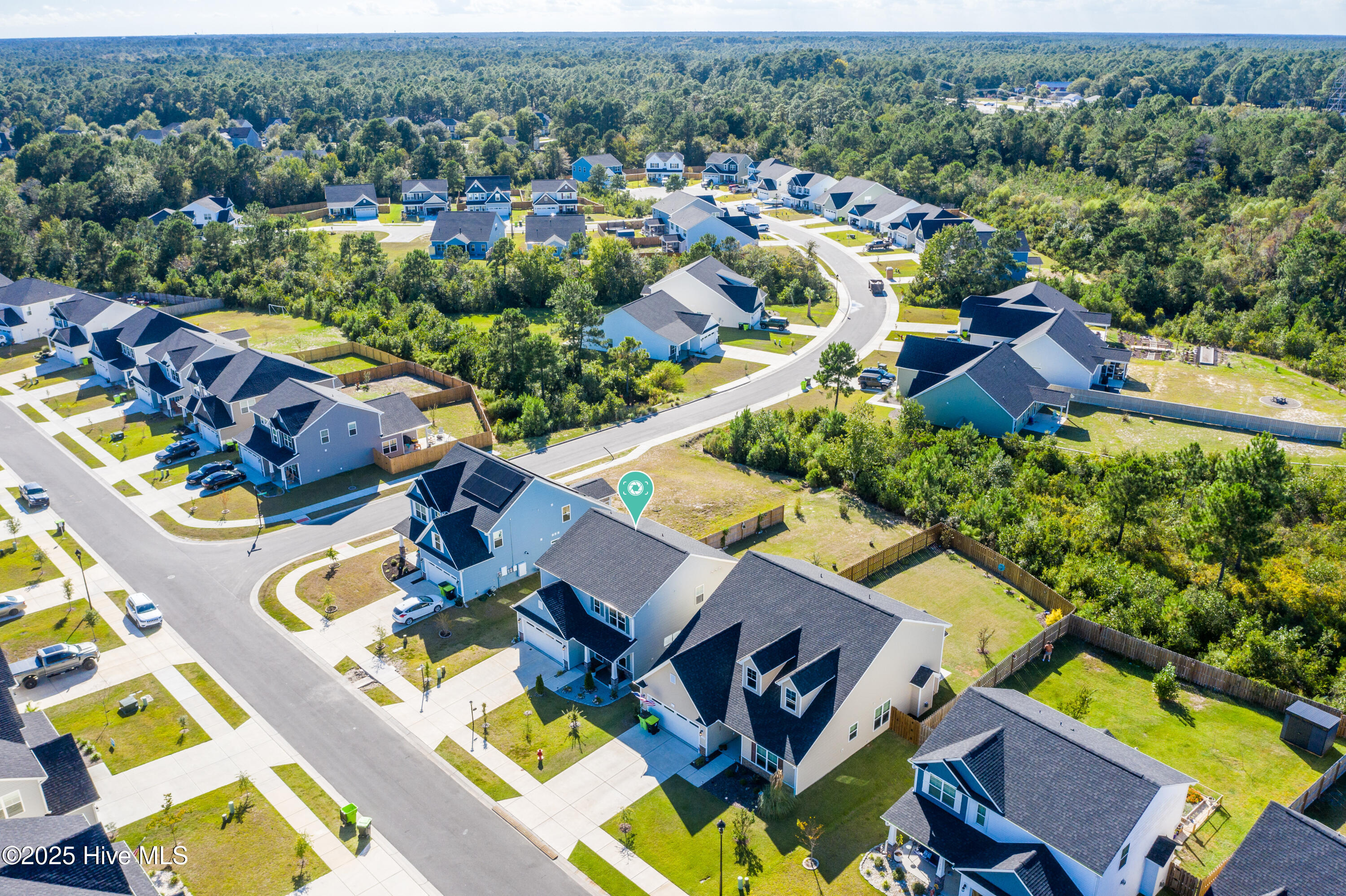 100533357 | Photo 38