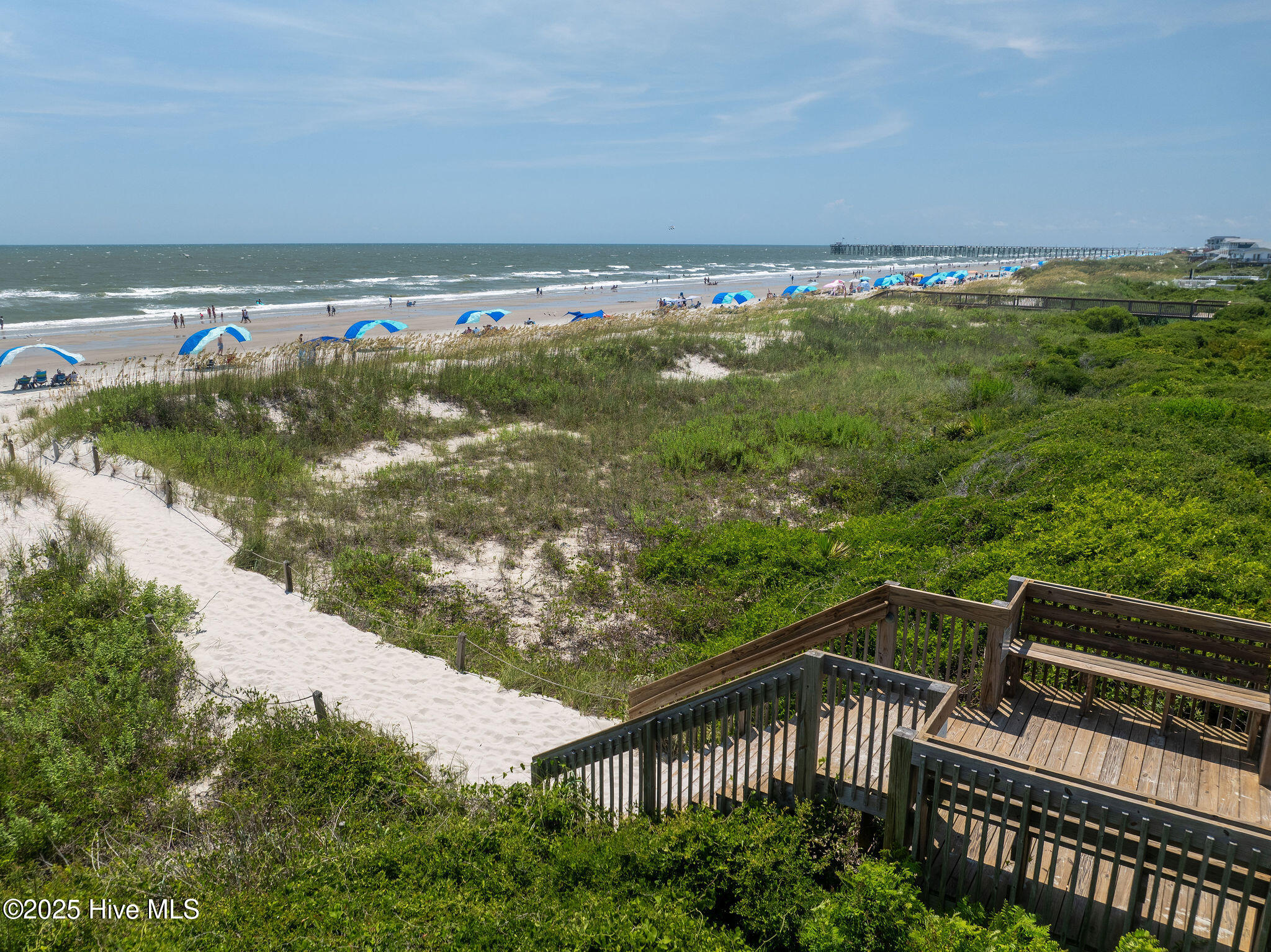 100538063 | Photo 103