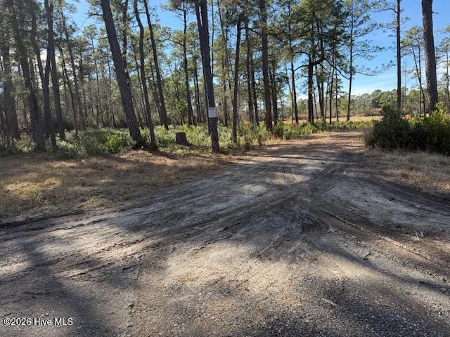 100554657 | Photo 11