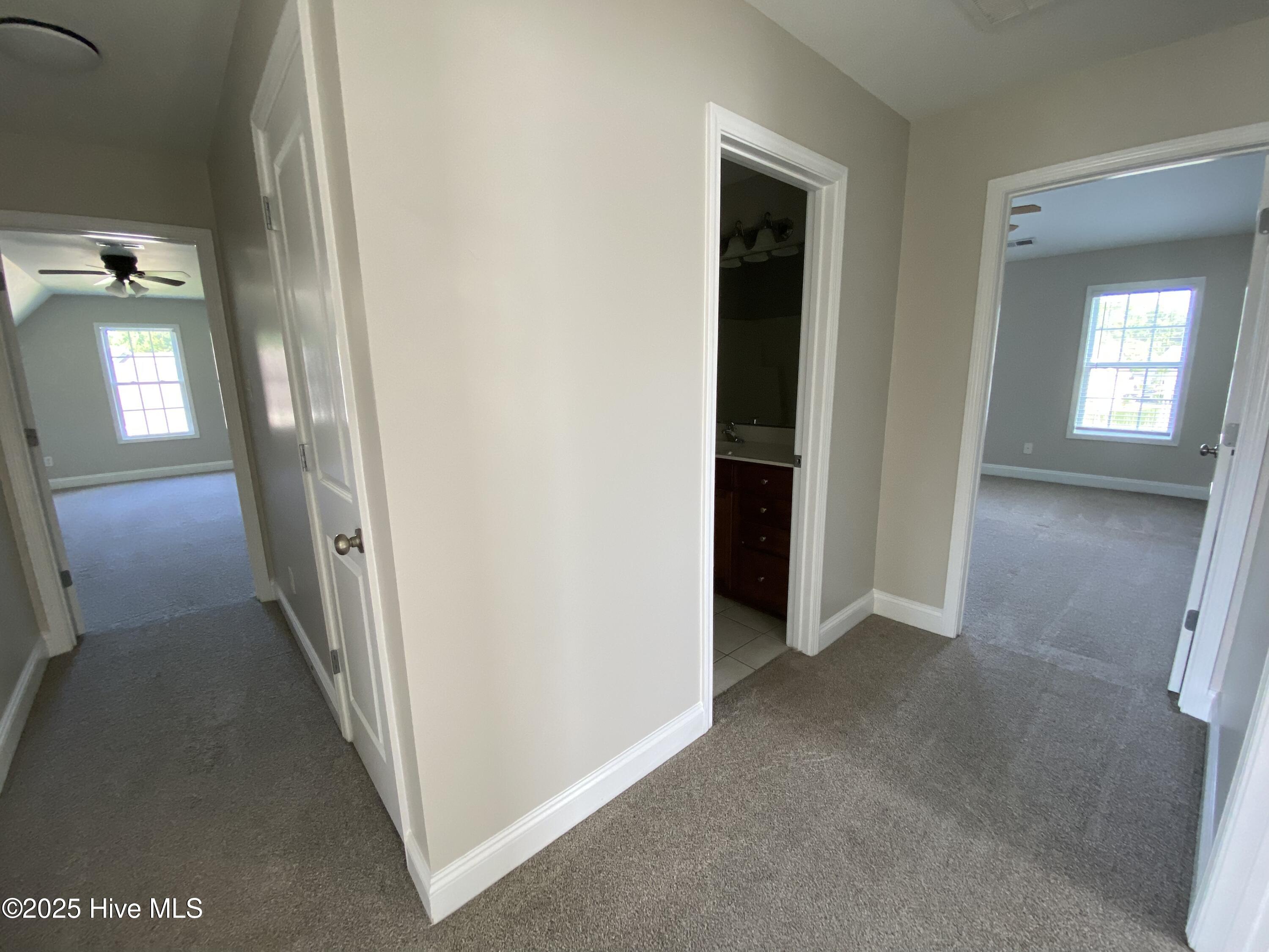 100566817 | Photo 16