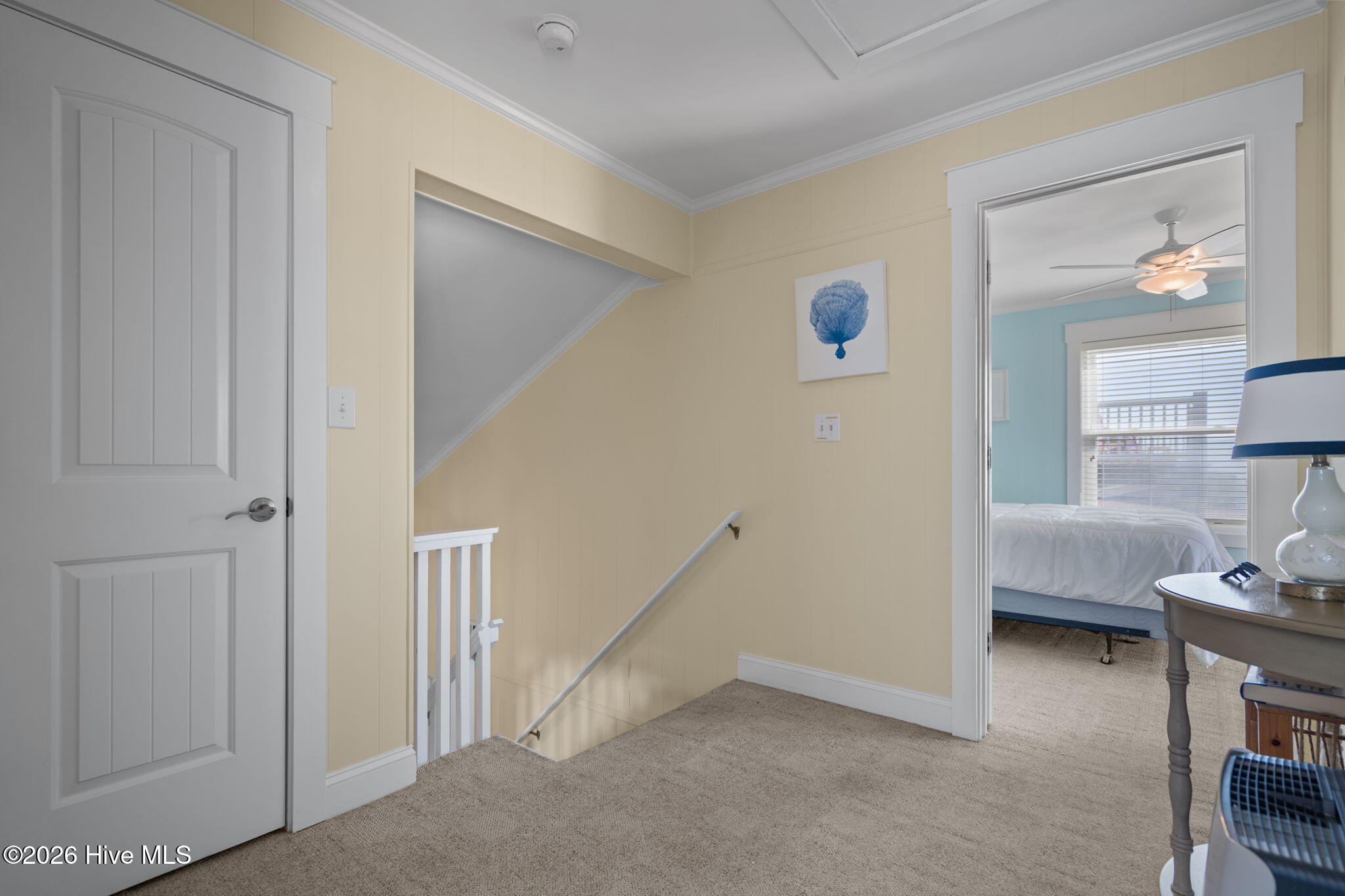 100568045 | Photo 27