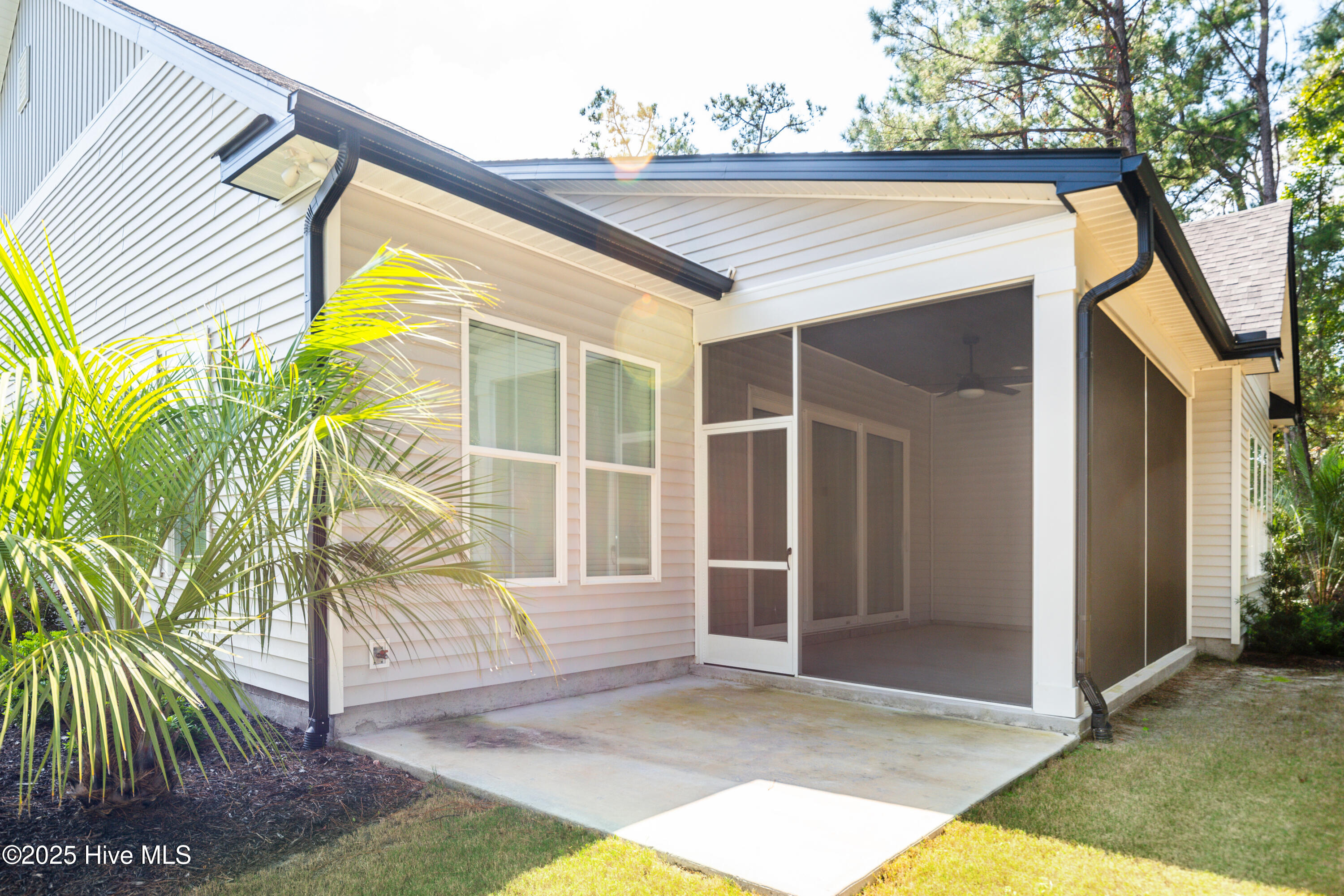 100532165 | Photo 36