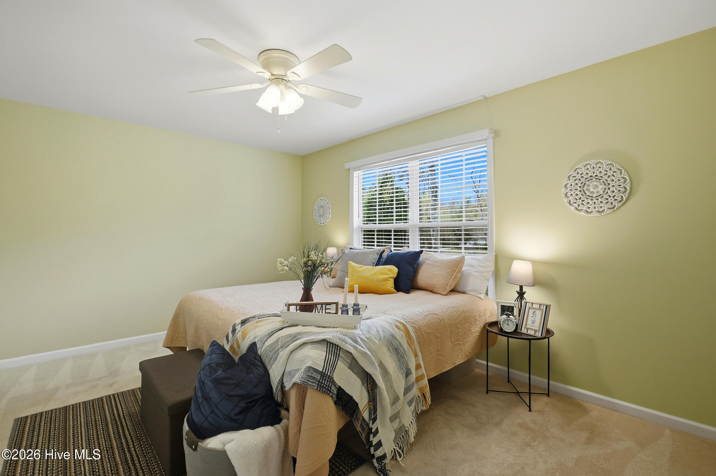 100562256 | Photo 17