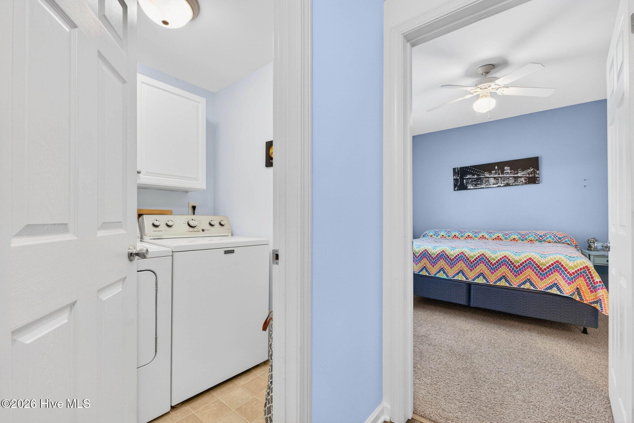 100562066 | Photo 26