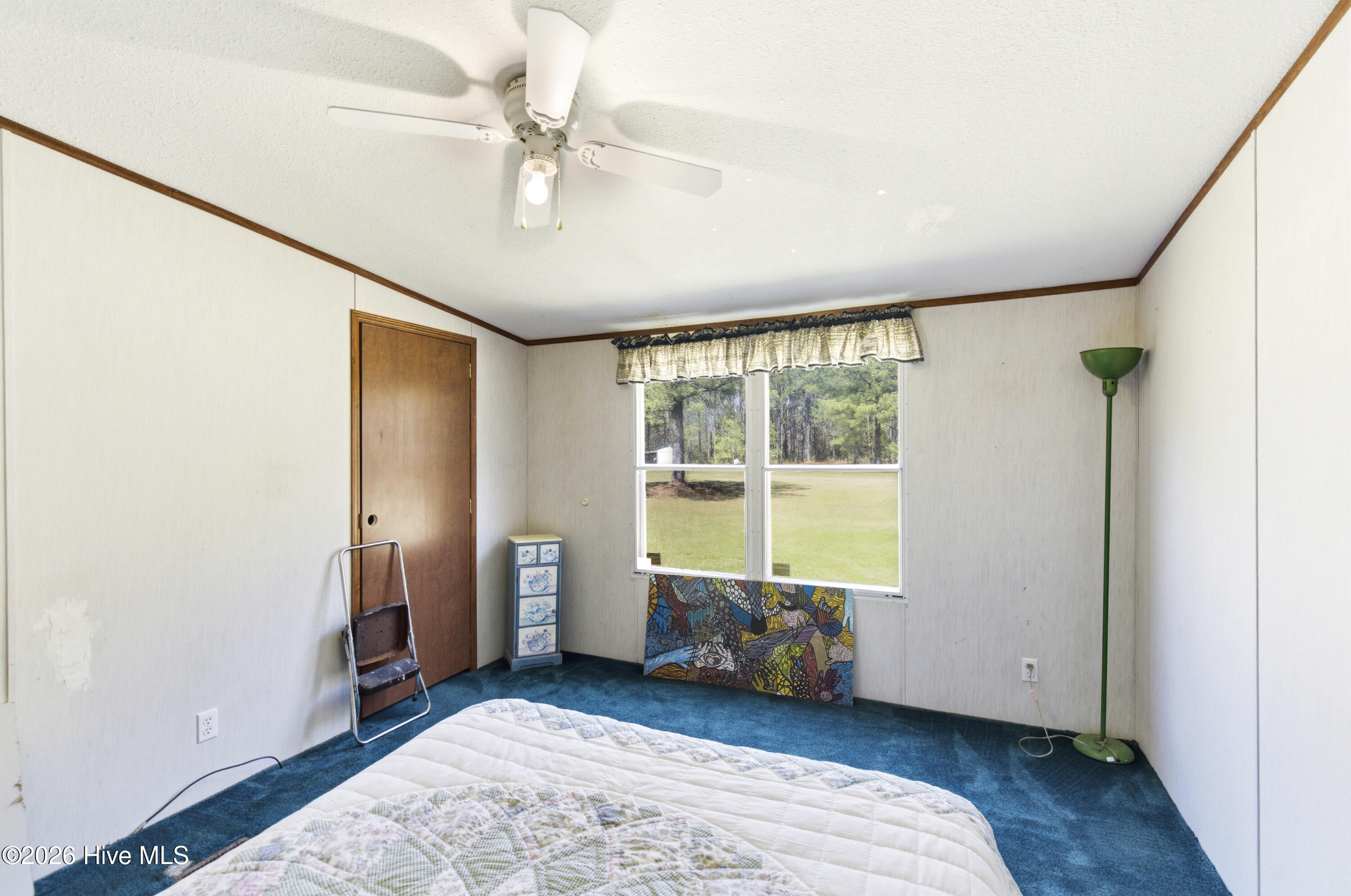 100565497 | Photo 43