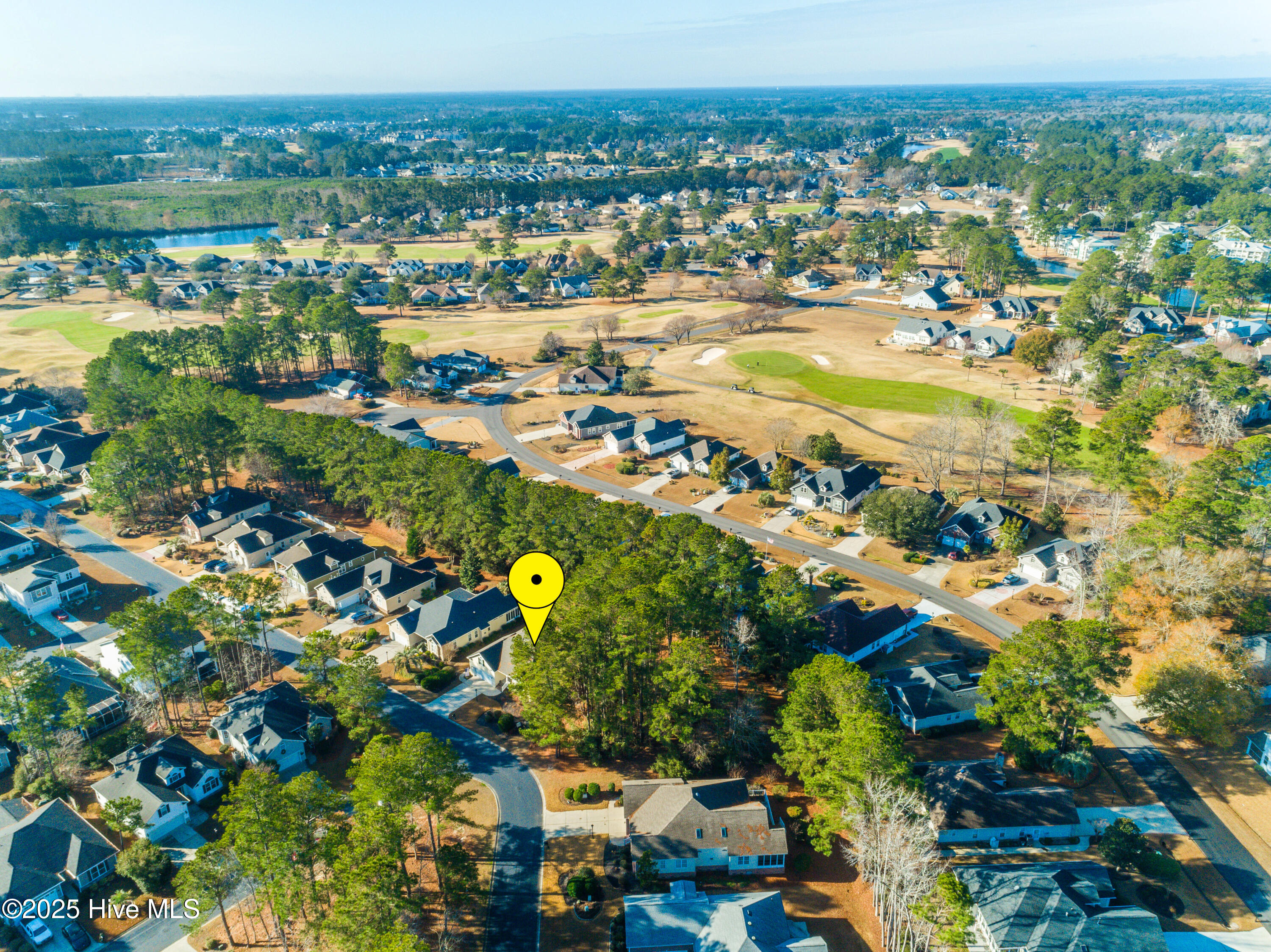 100547083 | Photo 34