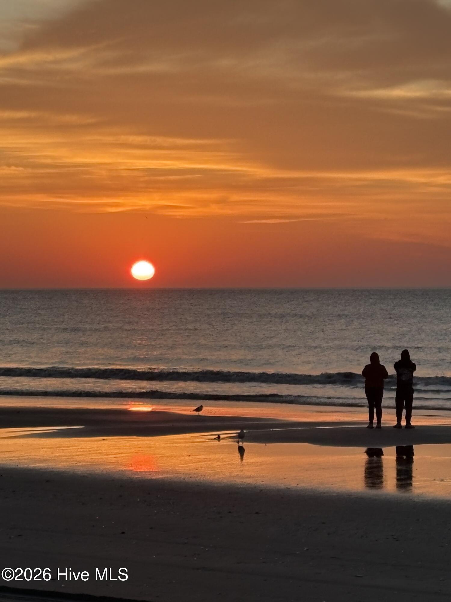 100555631 | Photo 24