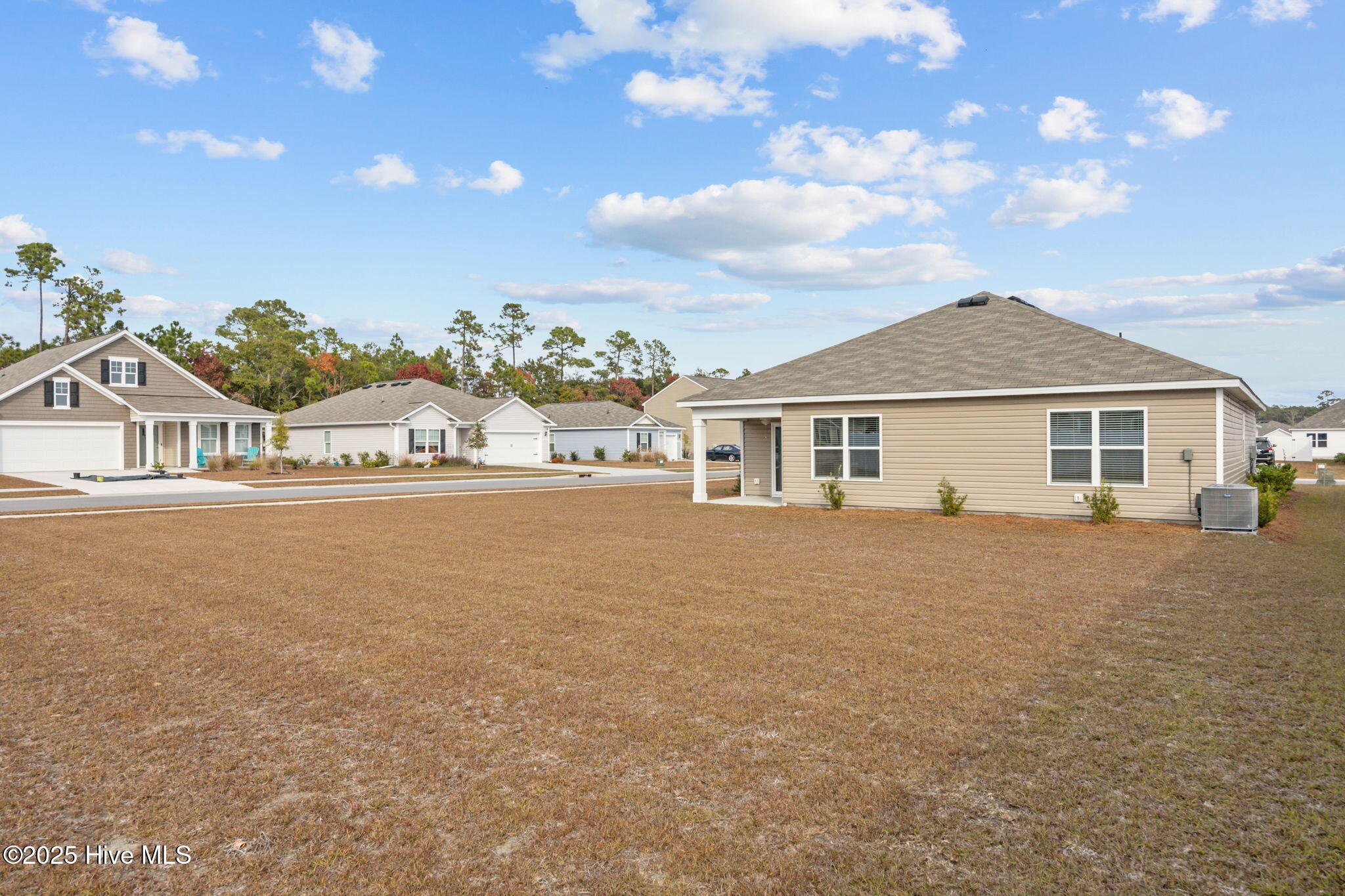 100542693 | Photo 14