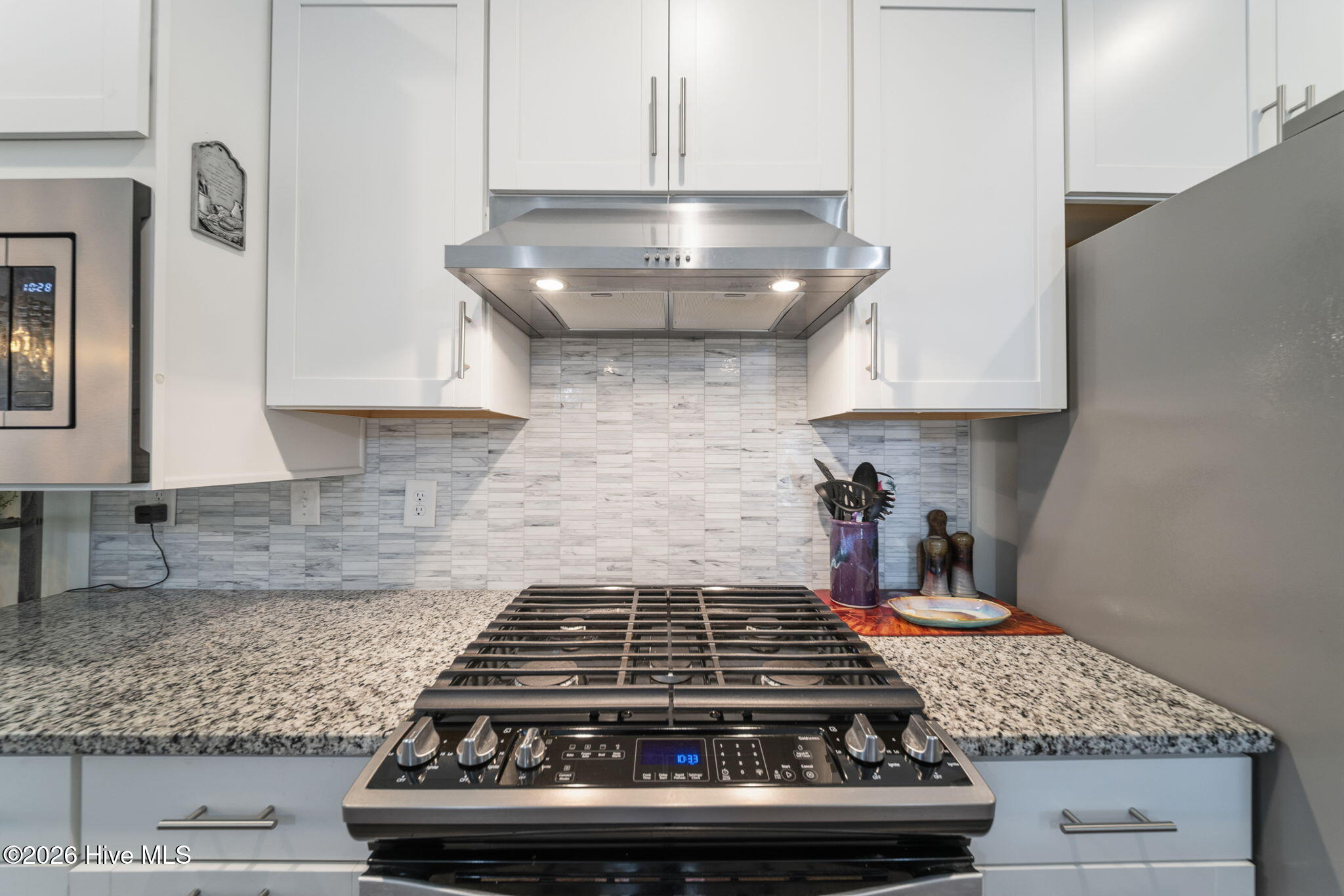 100565858 | Photo 19