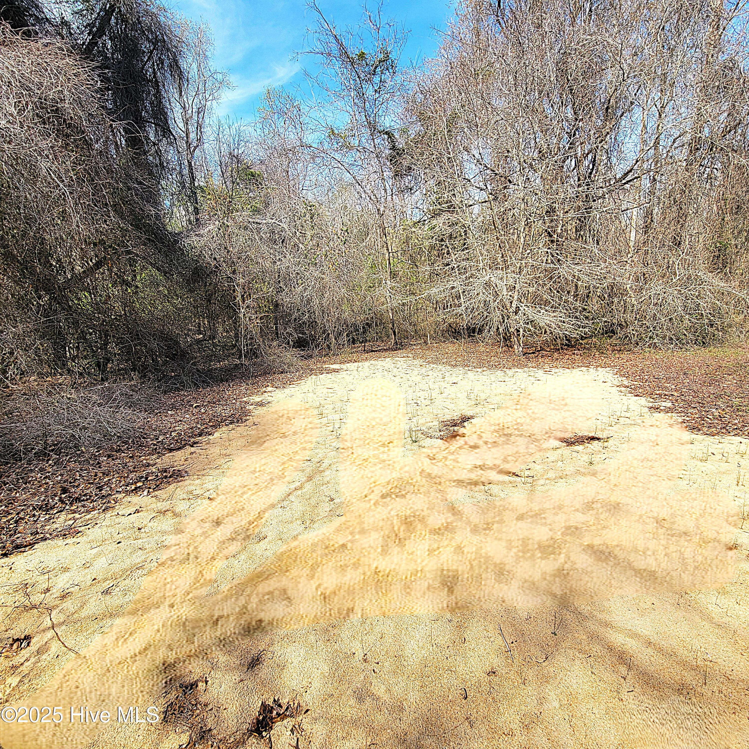 100496184 | Photo 20