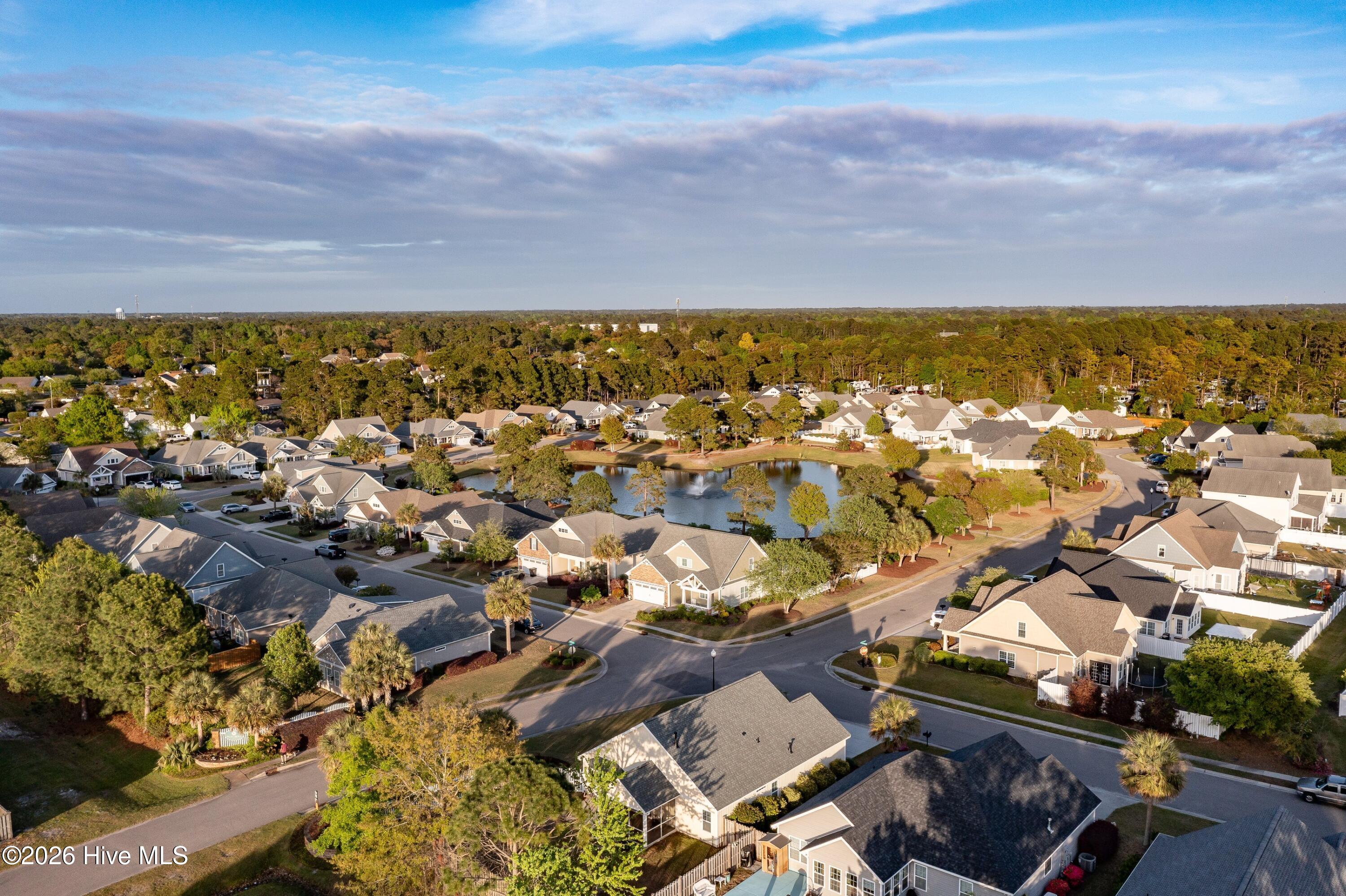 100566210 | Photo 39