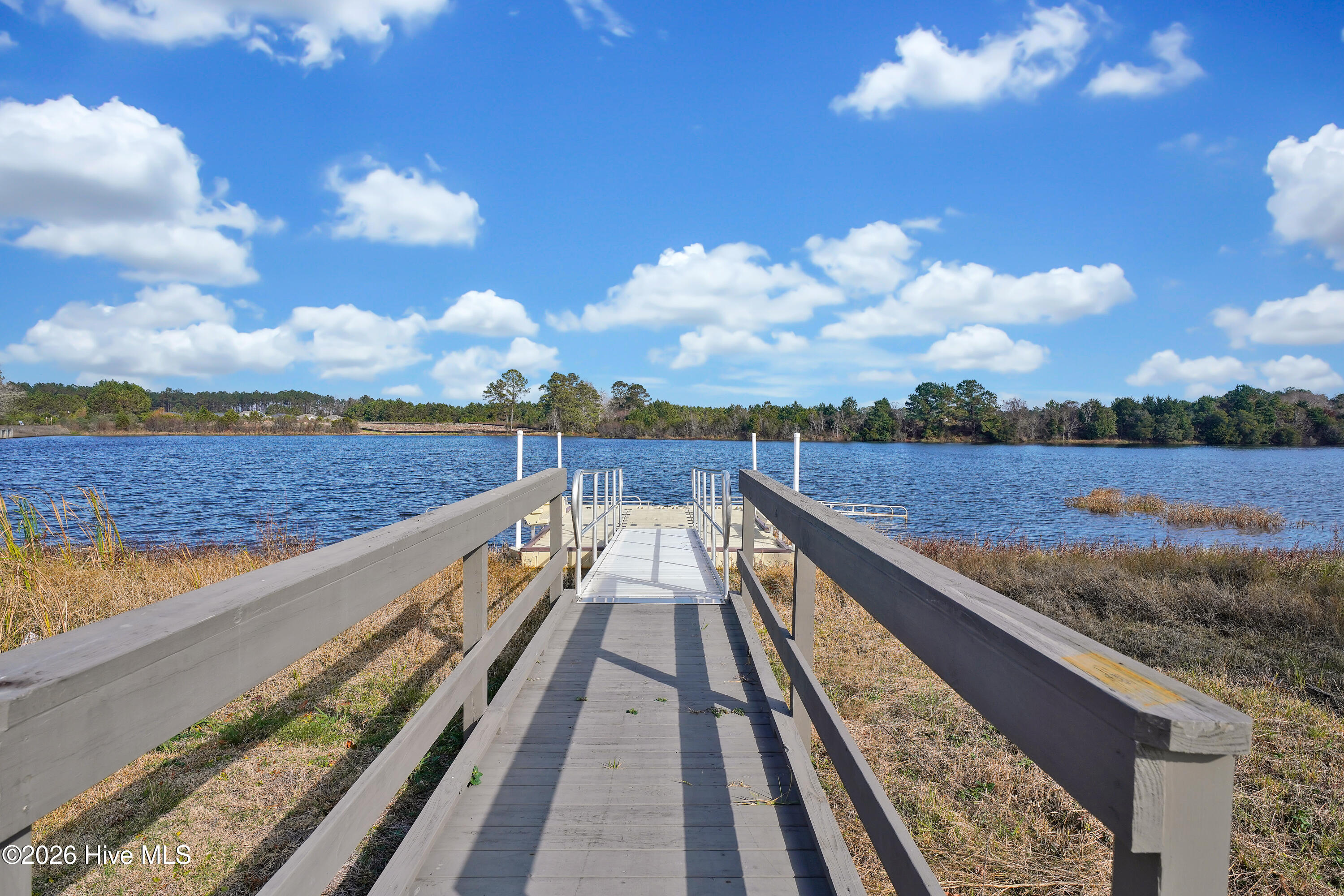 100563404 | Photo 43