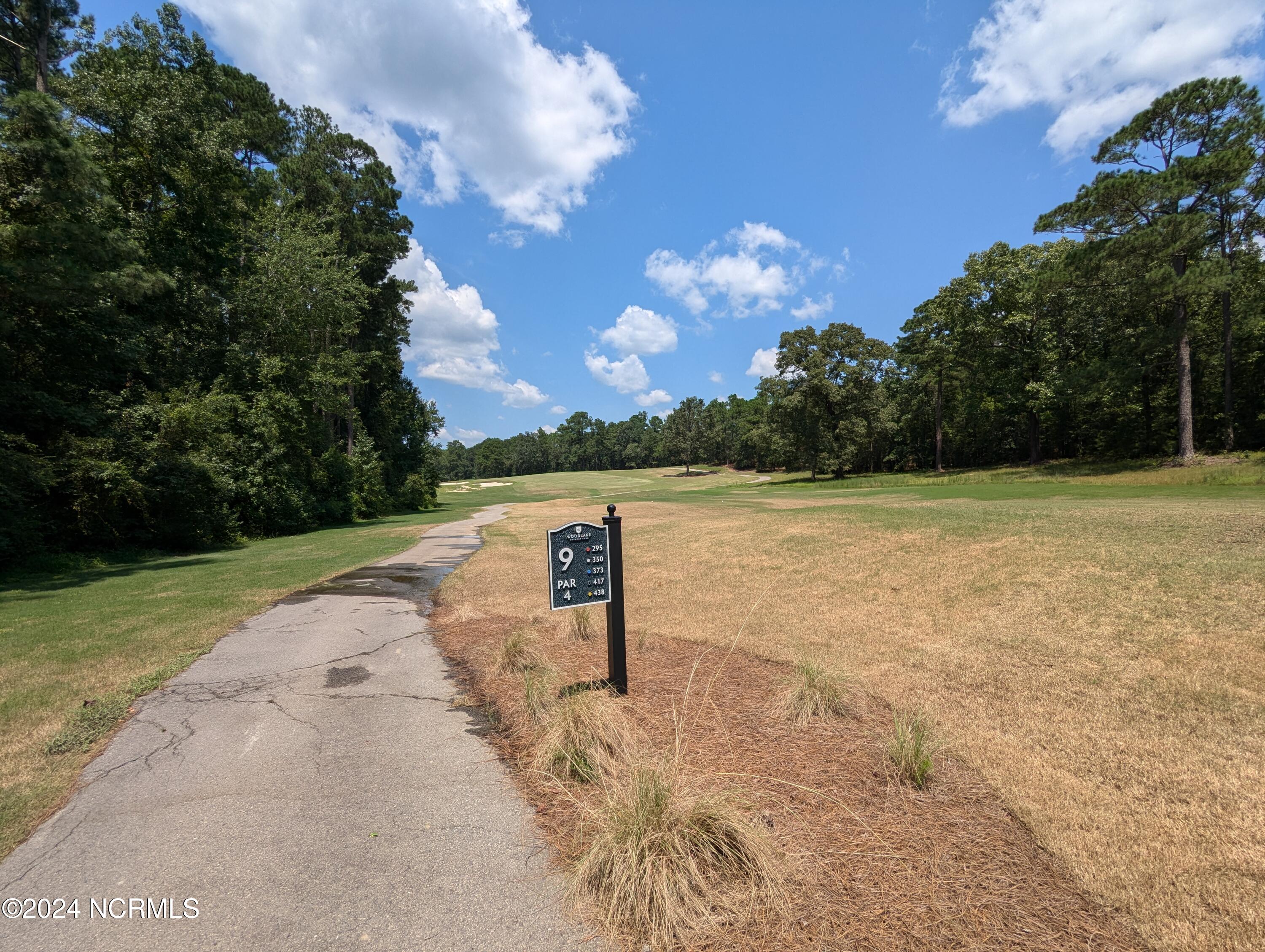 445 Thimbleberry Drive, Vass, NC, 28394