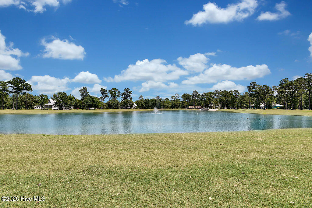 100564545 | Photo 104