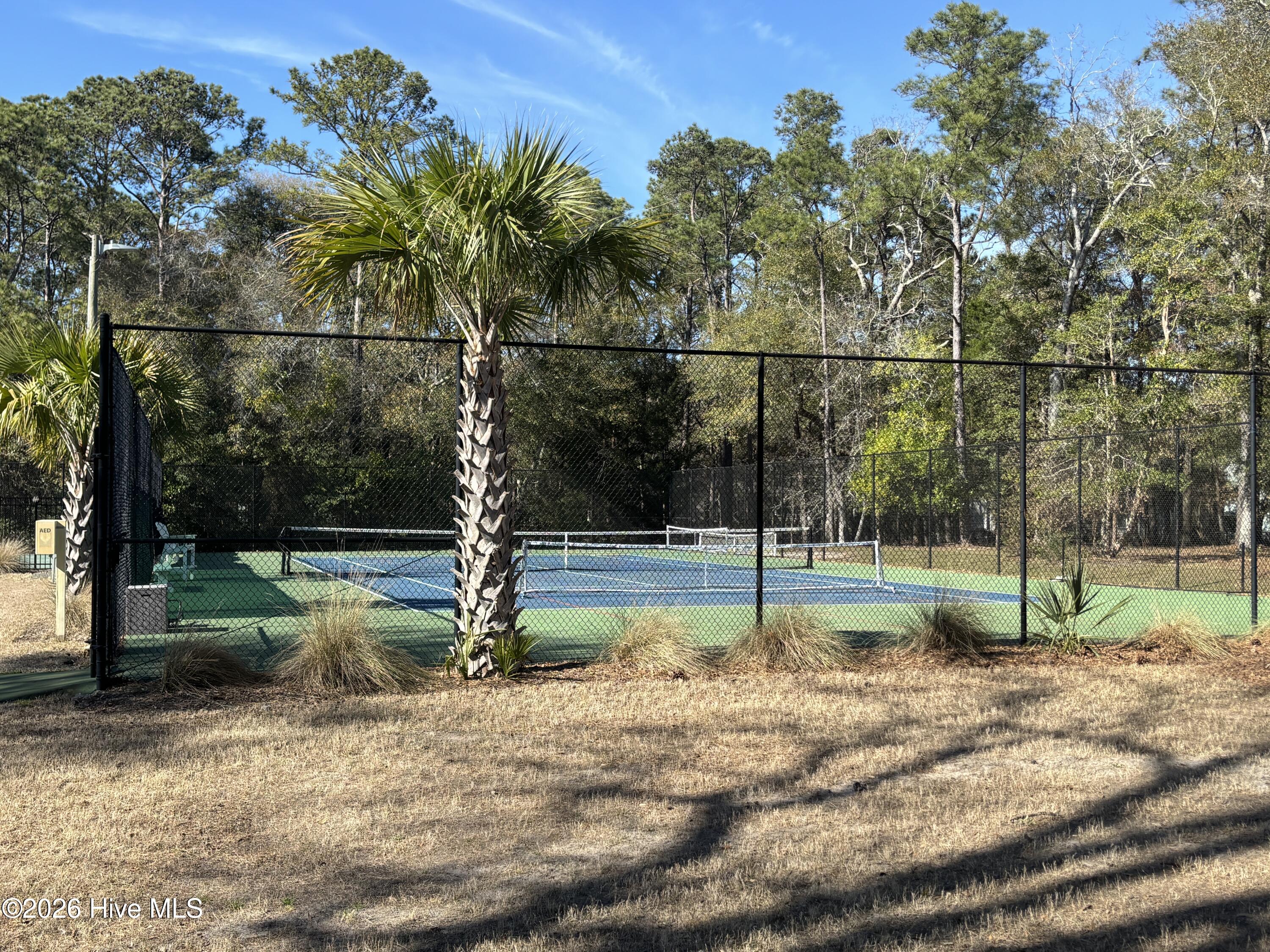 100562125 | Photo 20