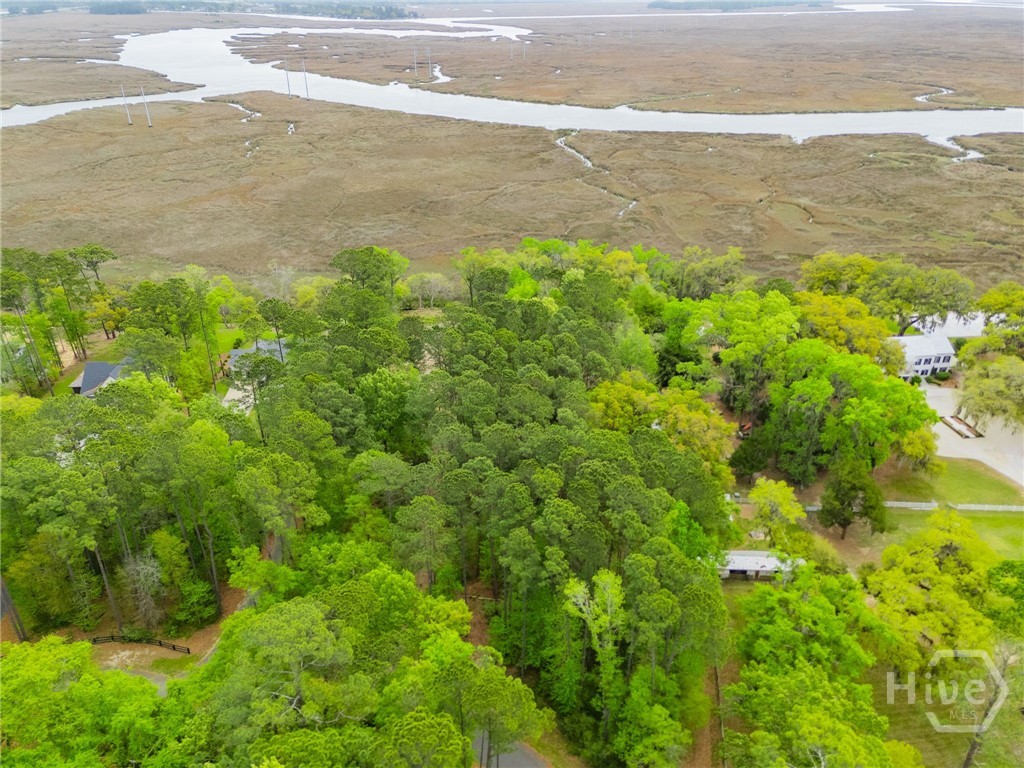 120 Drifton, Savannah, Georgia, 0 ,Land,For sale,Drifton,SA352589 120 Drifton, Savannah, Georgia, 0 ,Land,For sale,Drifton,SA352589