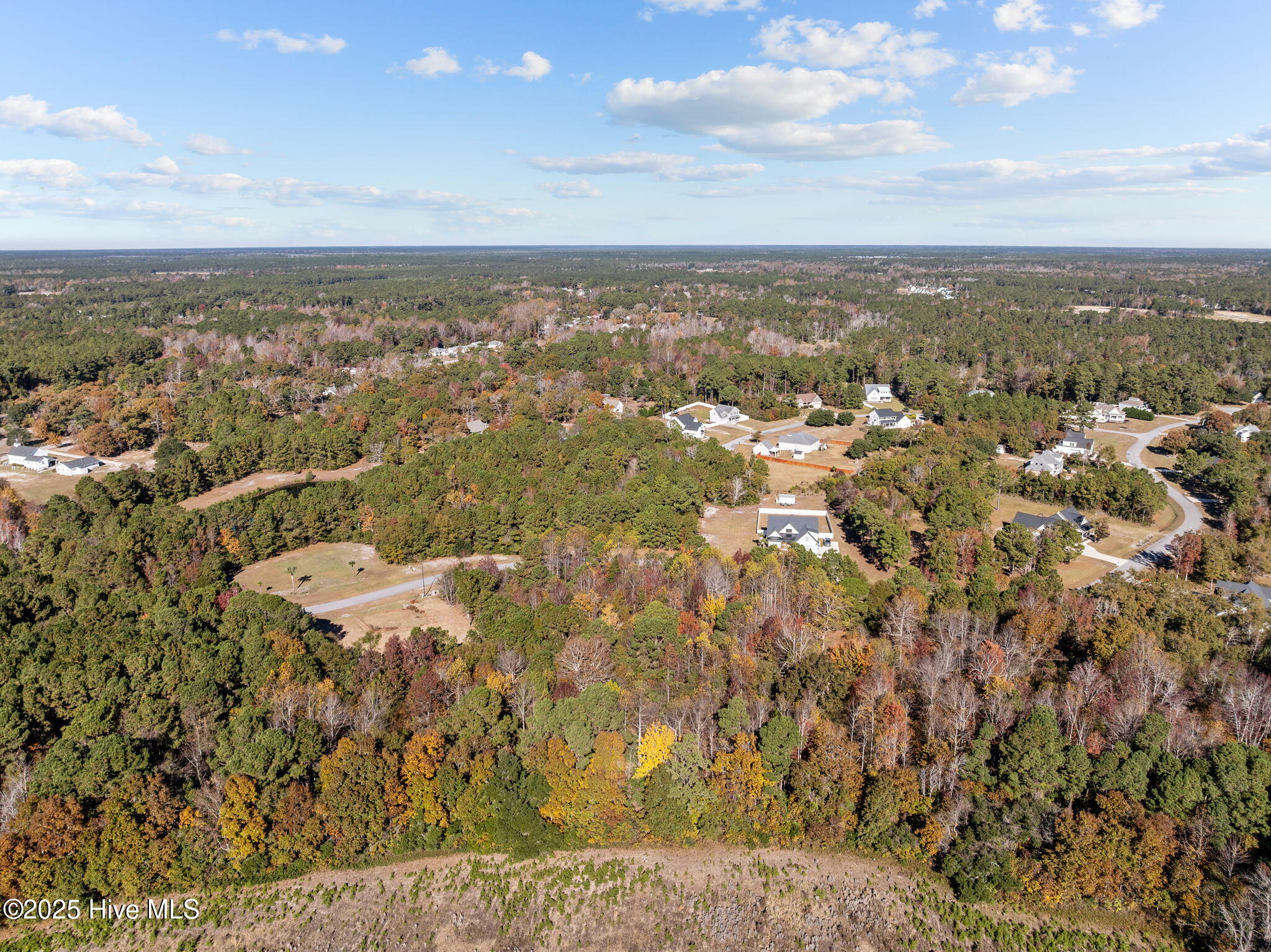 100542107 | Photo 11