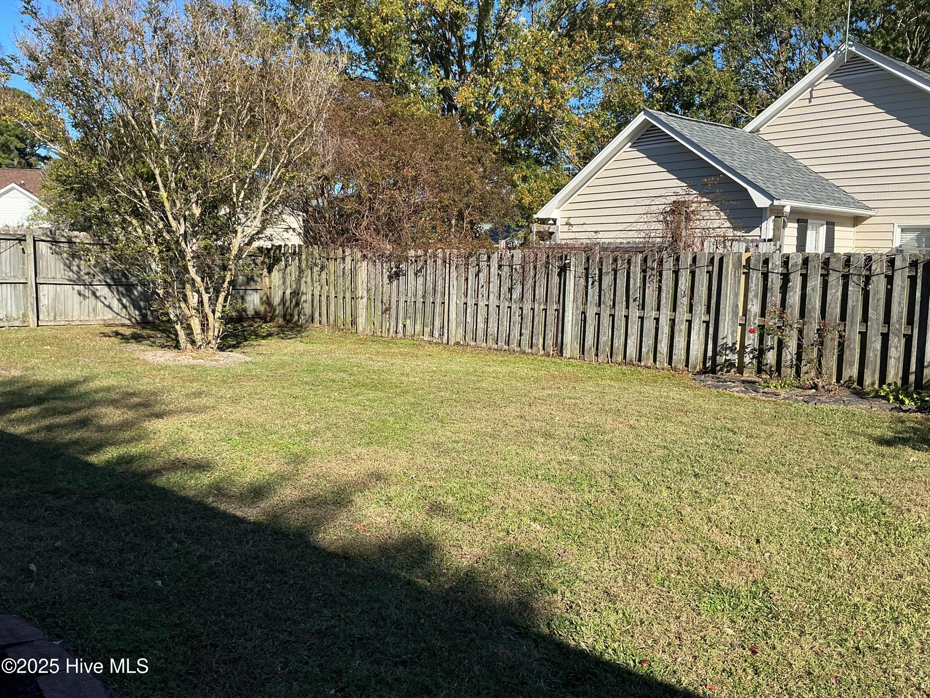 100540003 | Photo 32