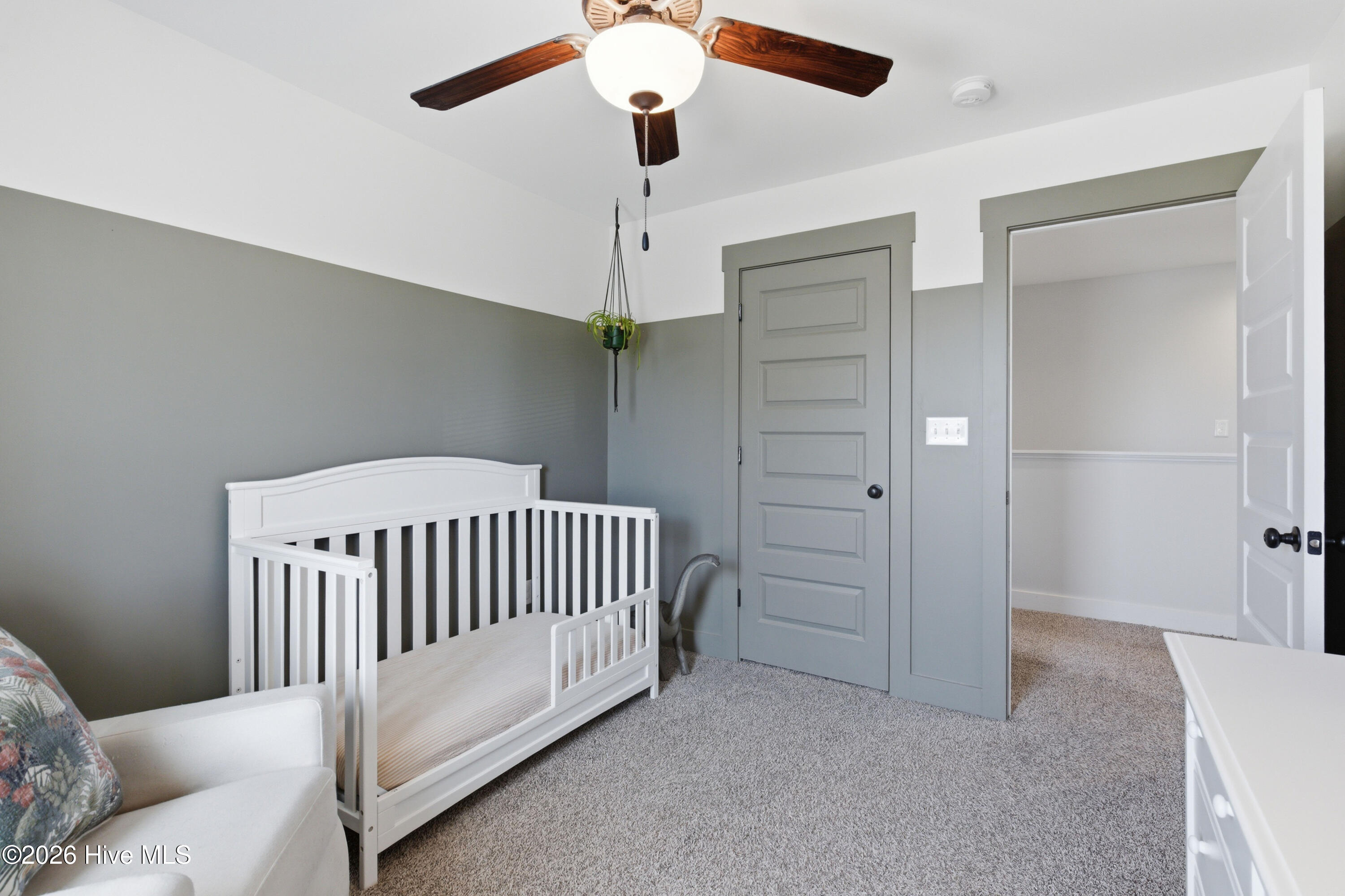 100562643 | Photo 35