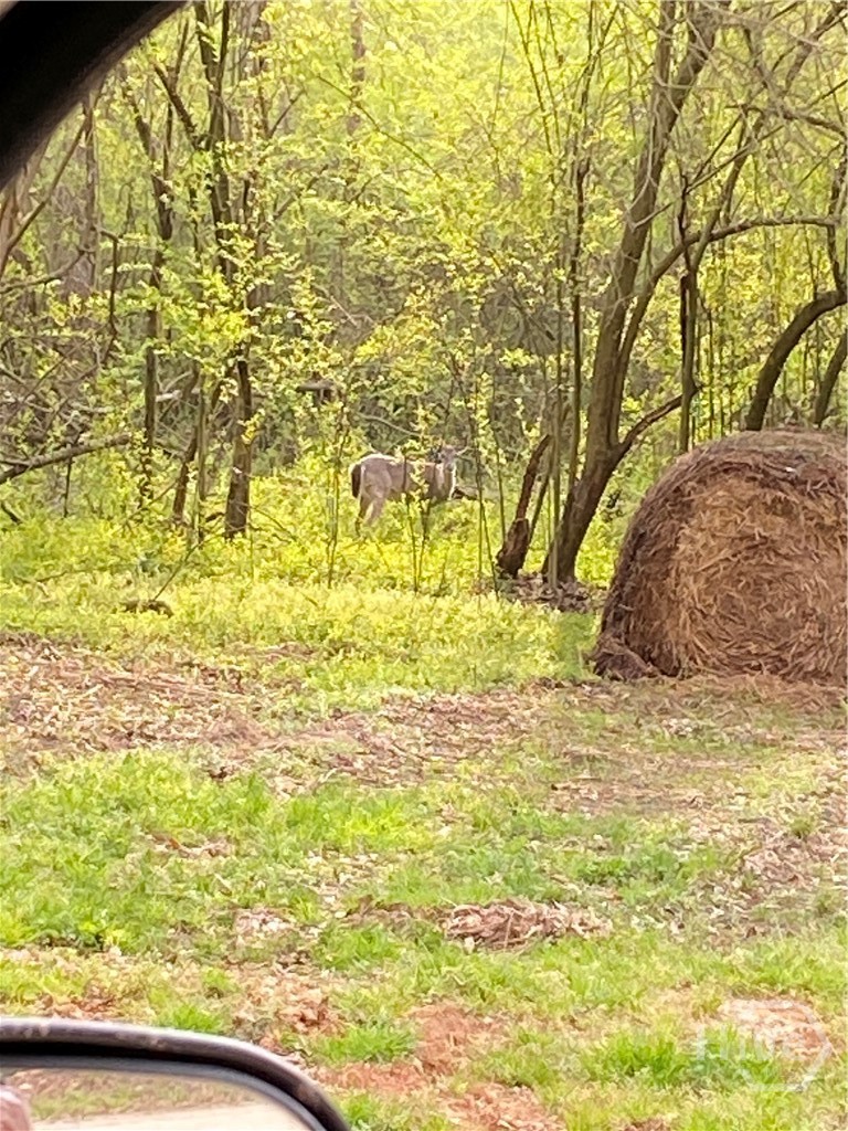 0 Joan Smith Road, Hull, GA, 30646