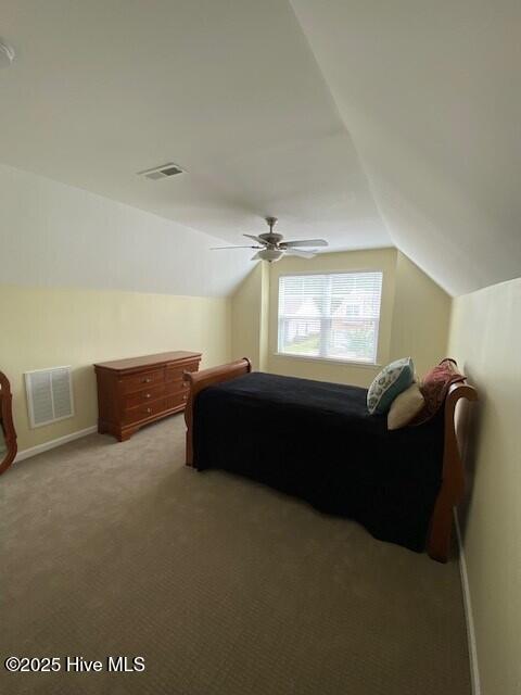 100554847 | Photo 29