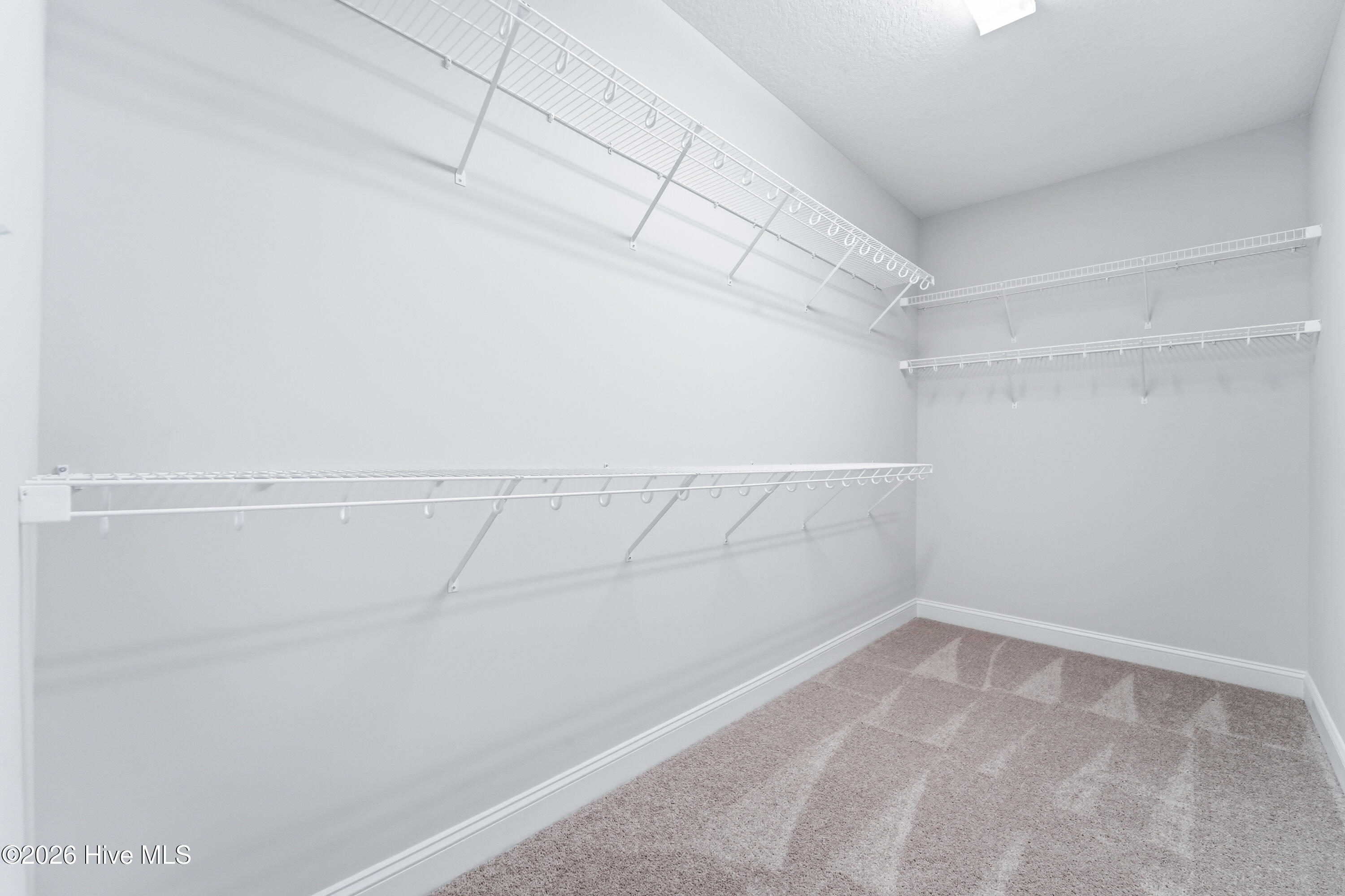 100525562 | Photo 20