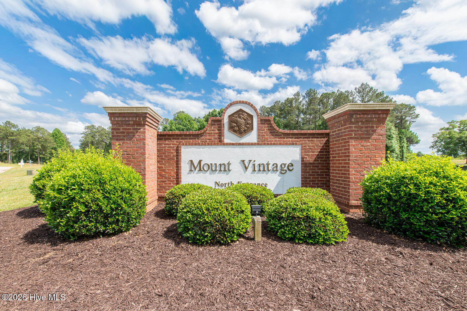 Mount Vintage!