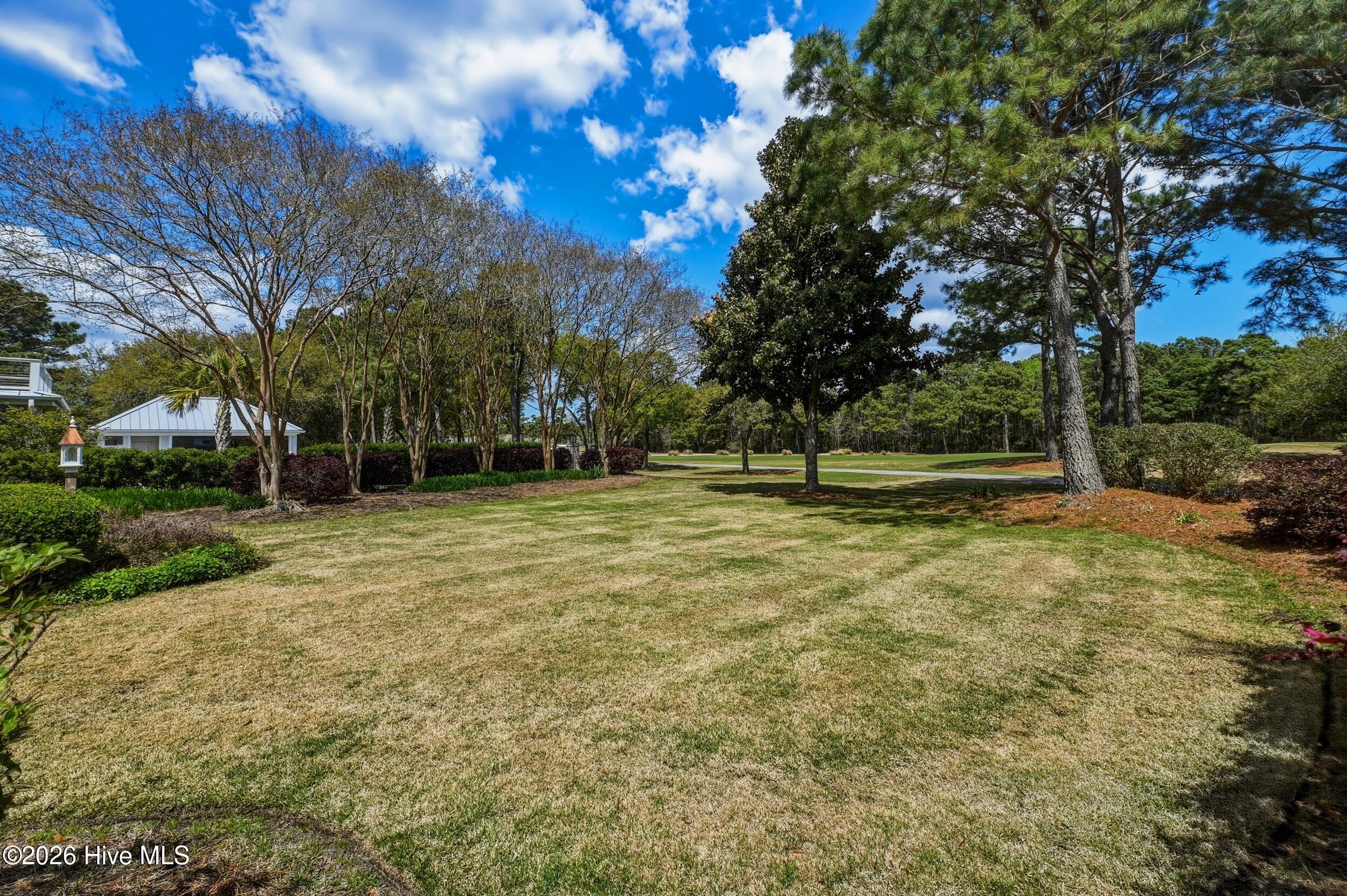 100566106 | Photo 50