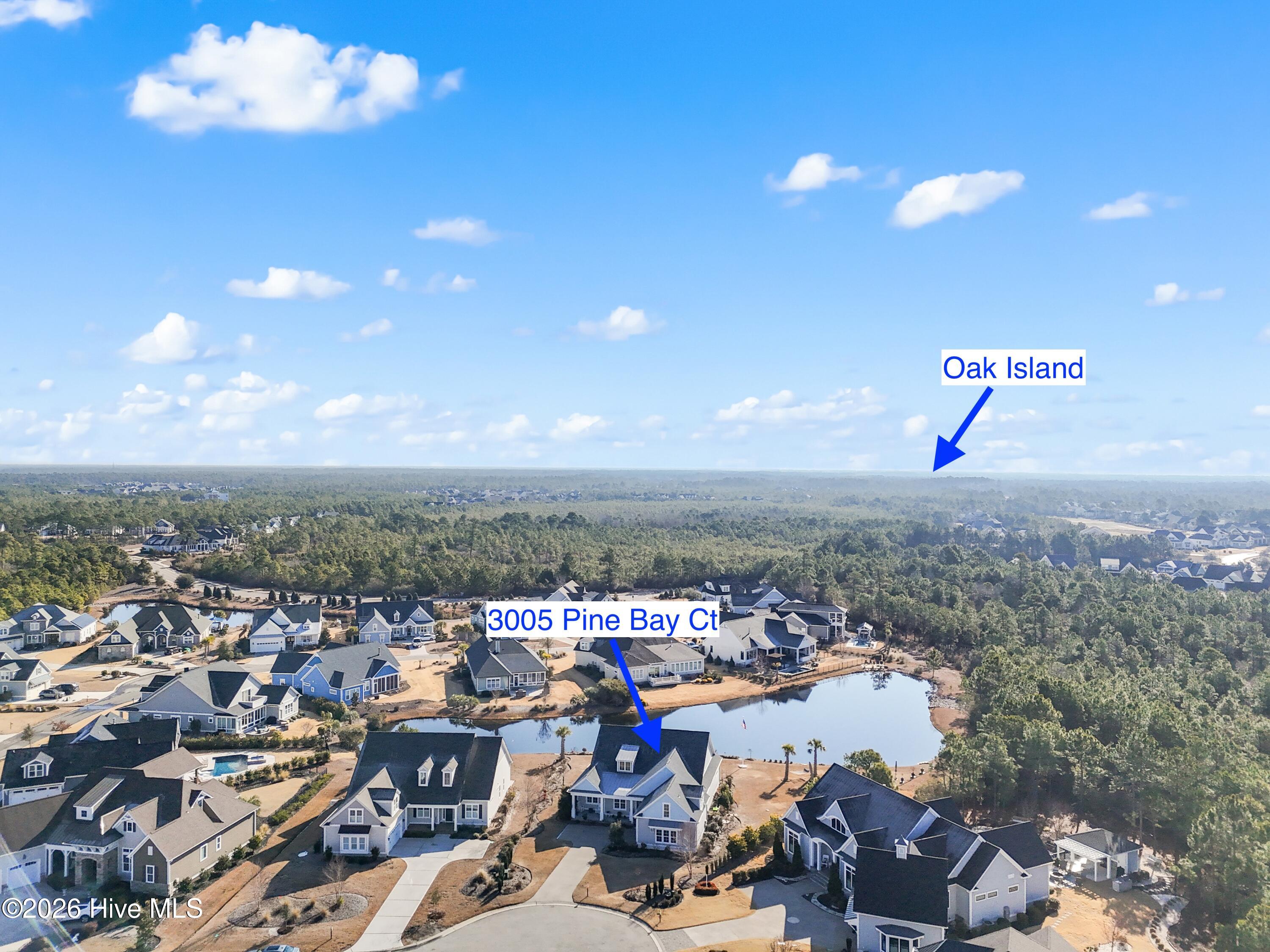 100560288 | Photo 60