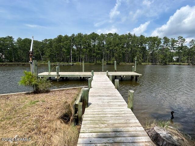 1039 Pasture Point Road,Merritt