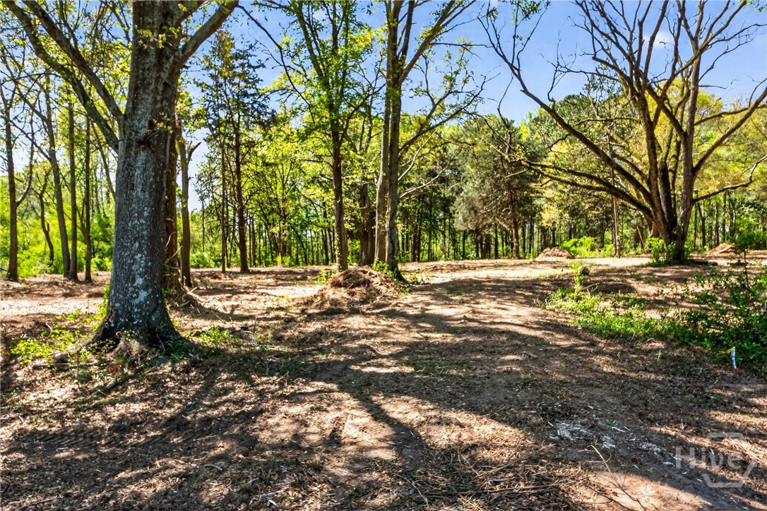 2330 Greensboro Highway, Watkinsville, GA, 30677