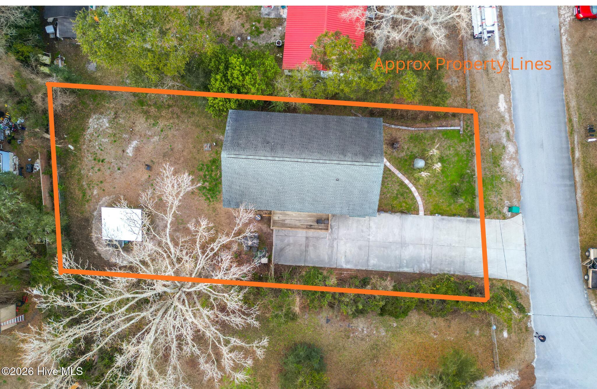 100559226 | Photo 31