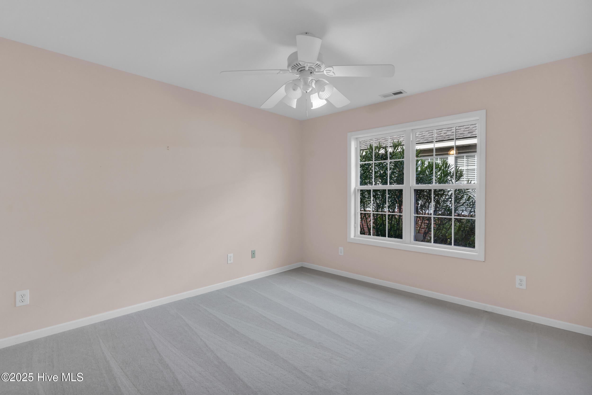 100540480 | Photo 30