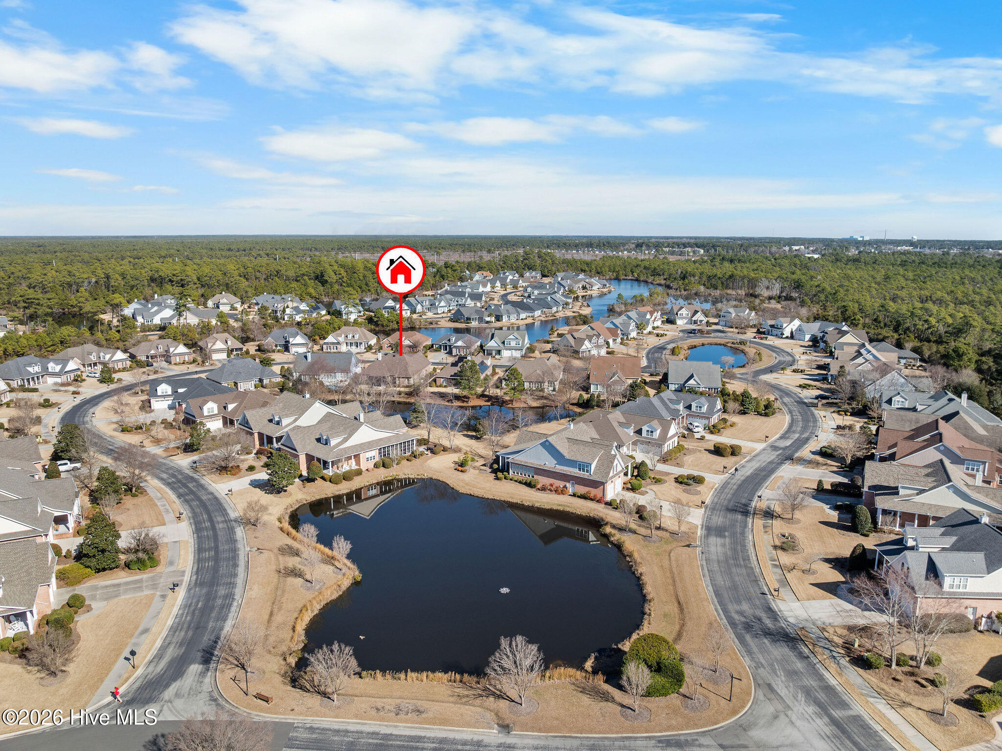 100564801 | Photo 46