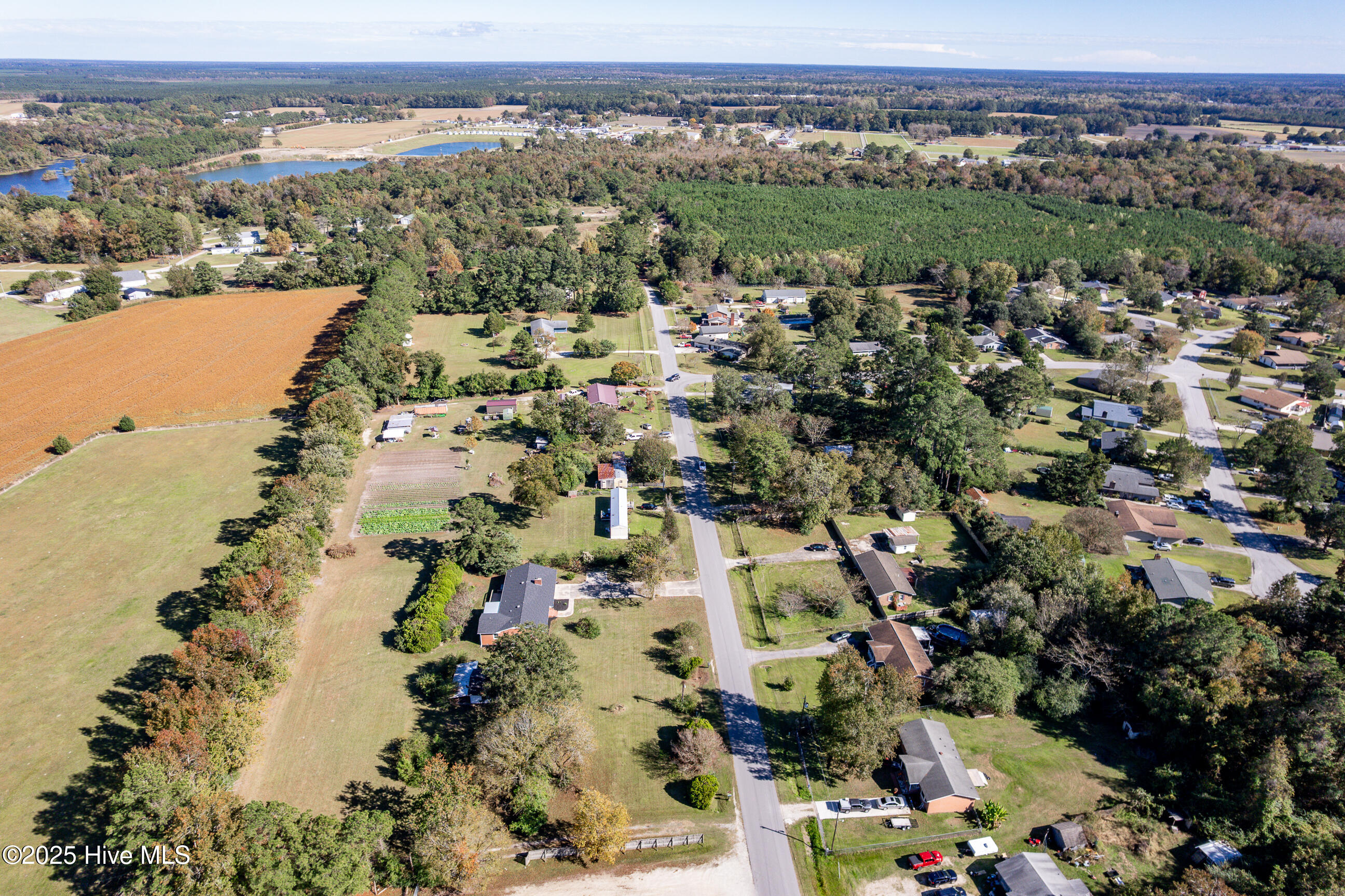 100543358 | Photo 29