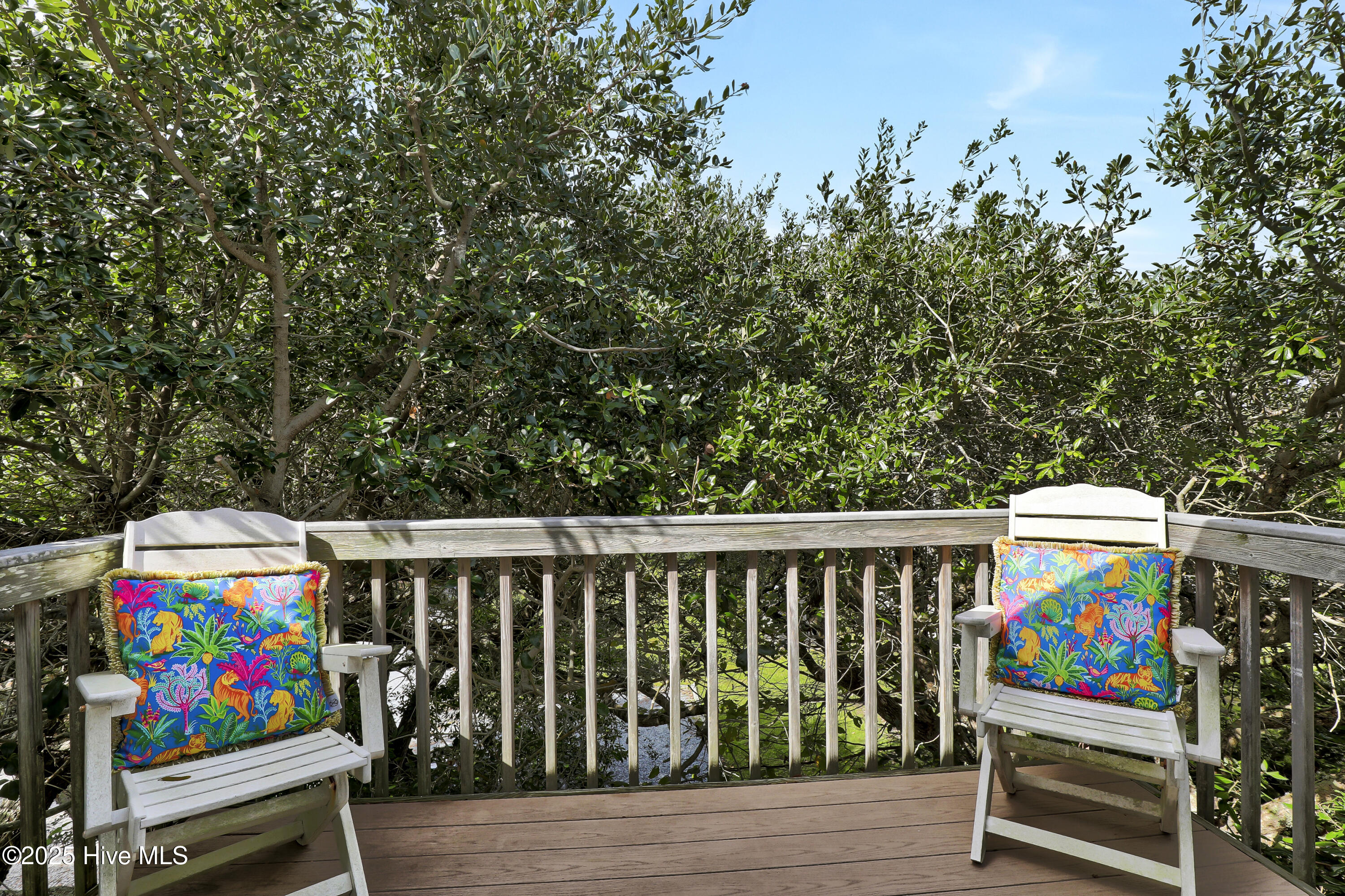 100535648 | Photo 20