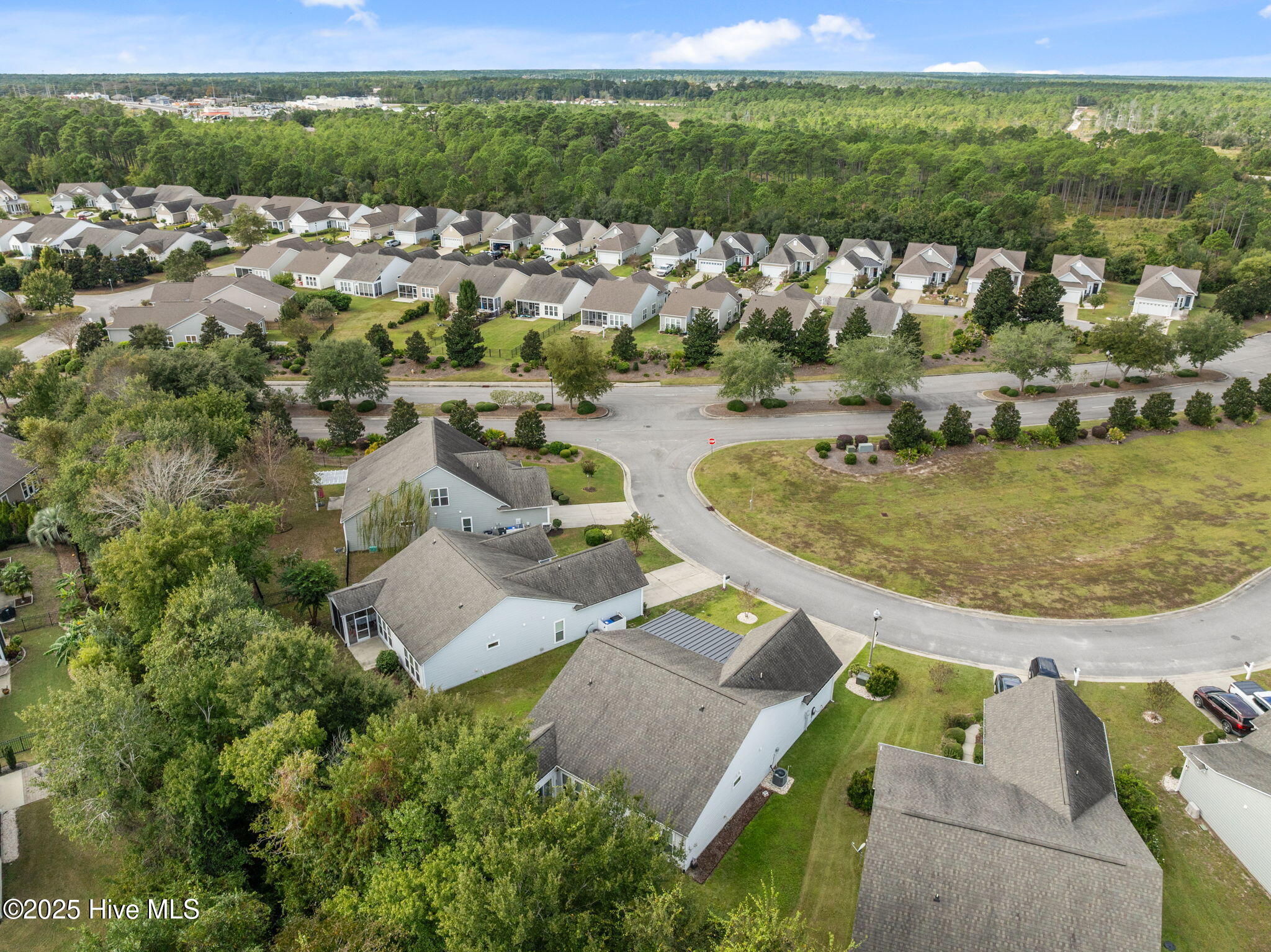 100515173 | Photo 55