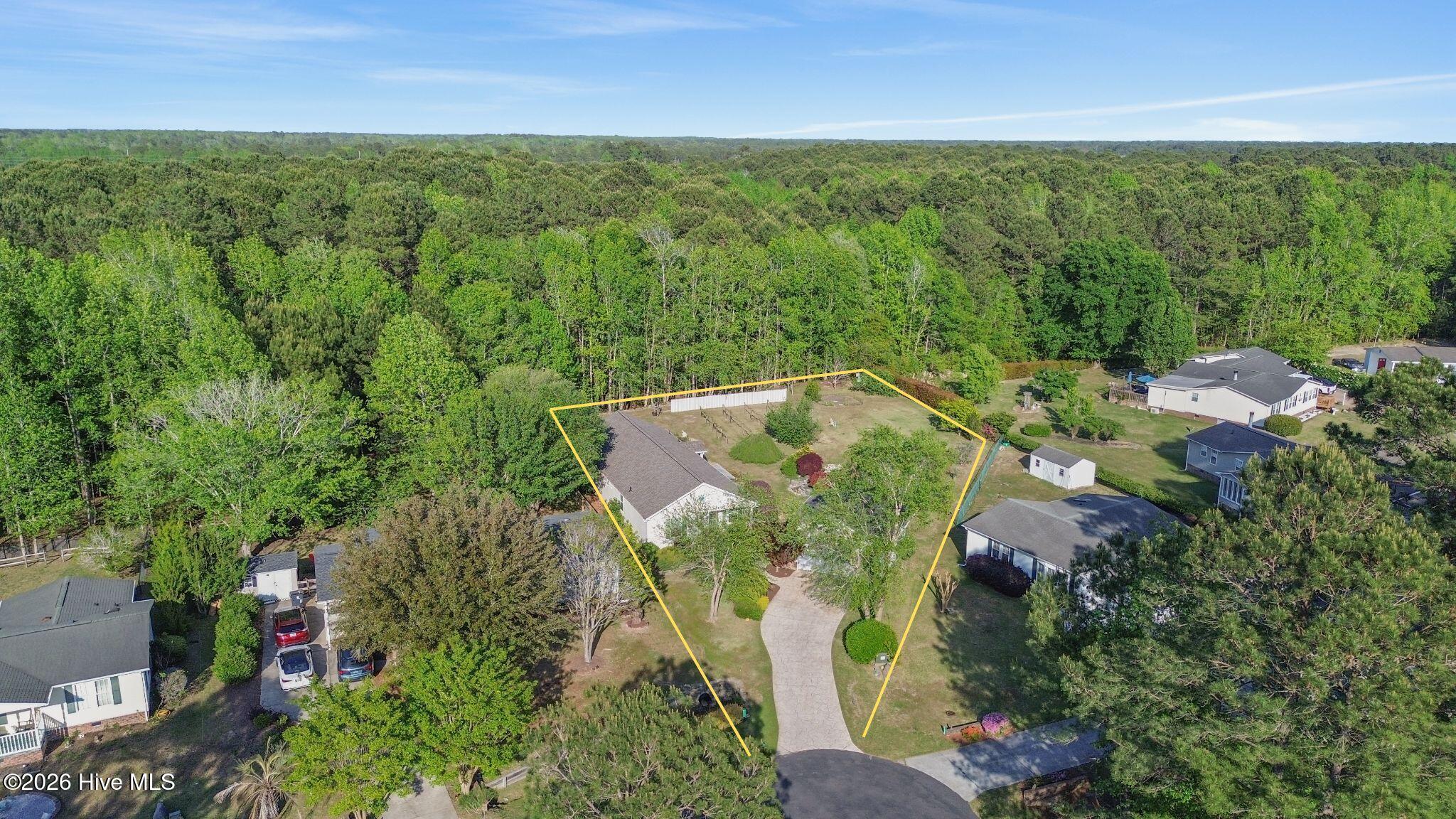 100568231 | Photo 48