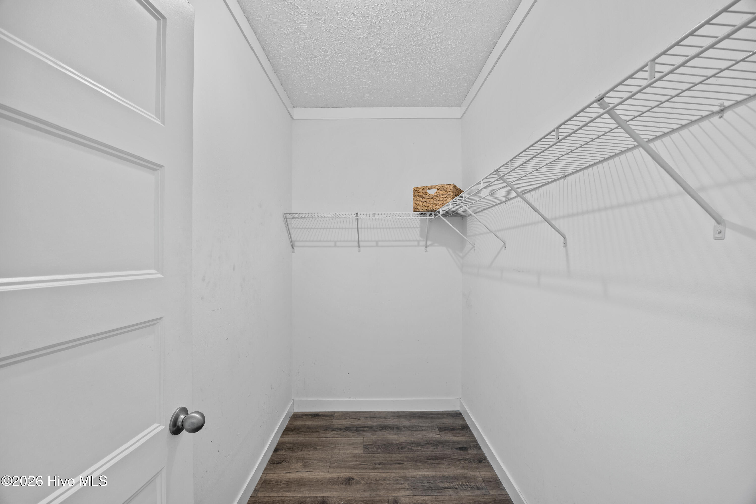 100559511 | Photo 32