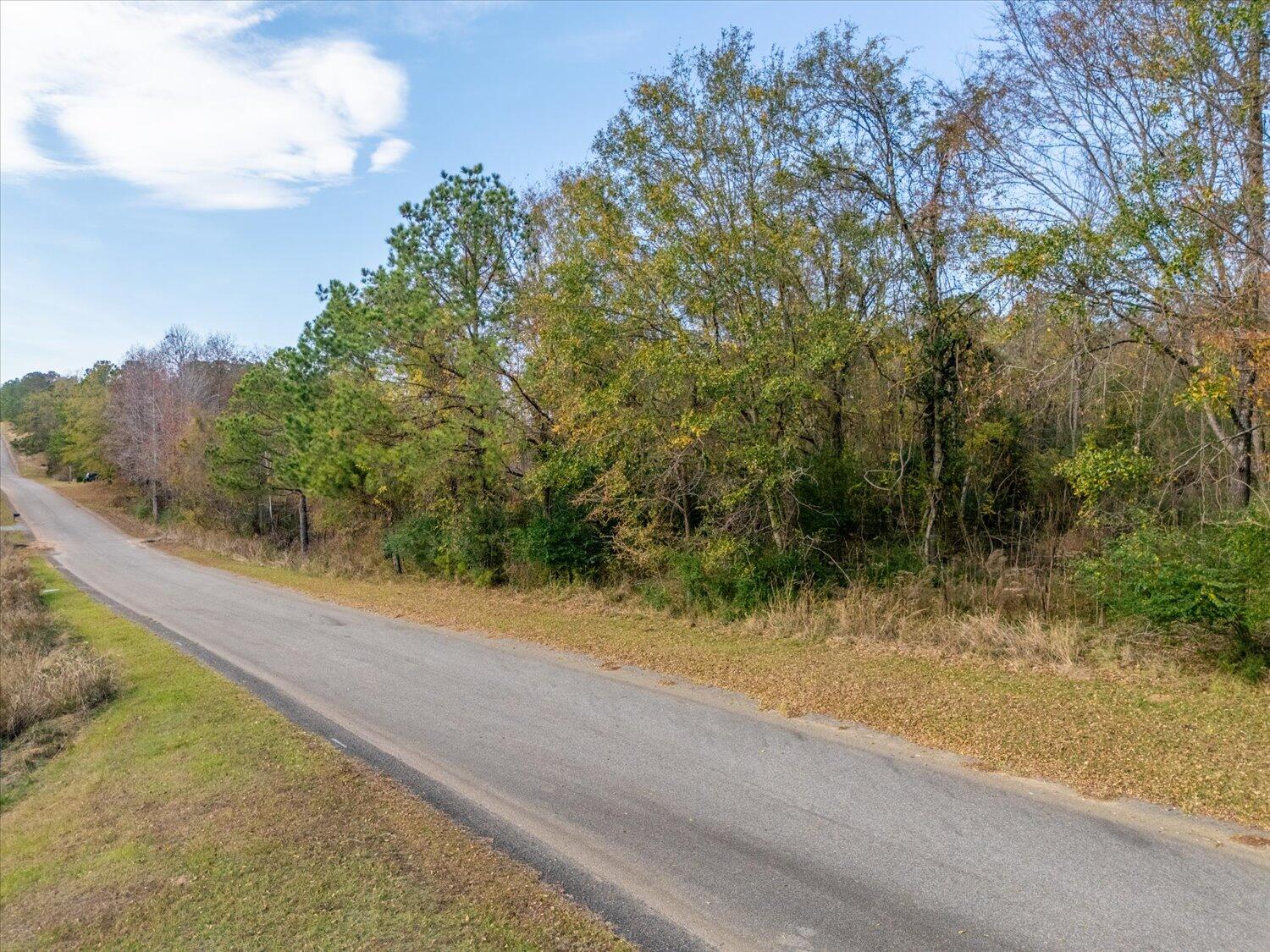 106 Rolling Hills Dr, Trenton, SC, 29847