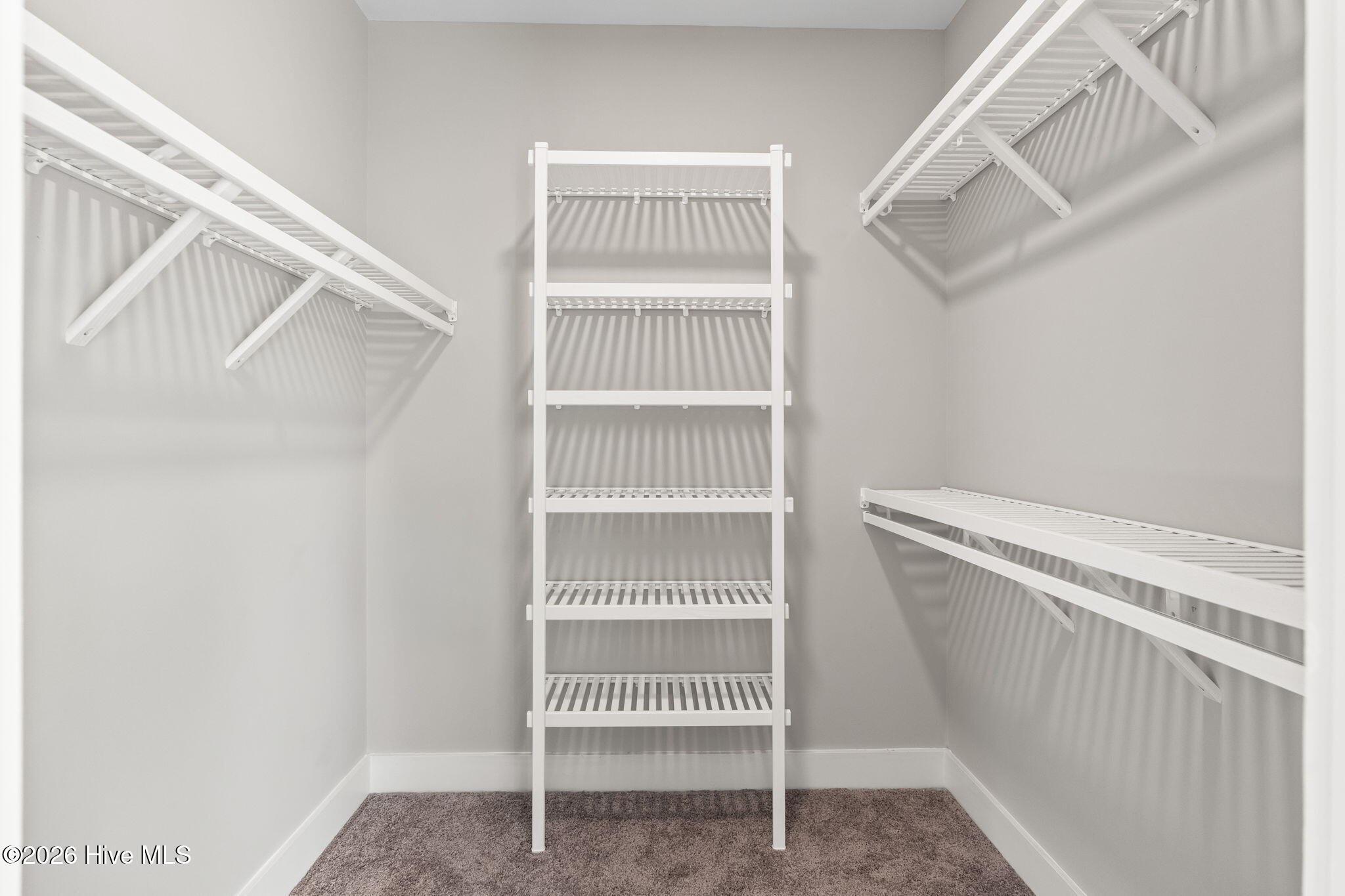 100537581 | Photo 38