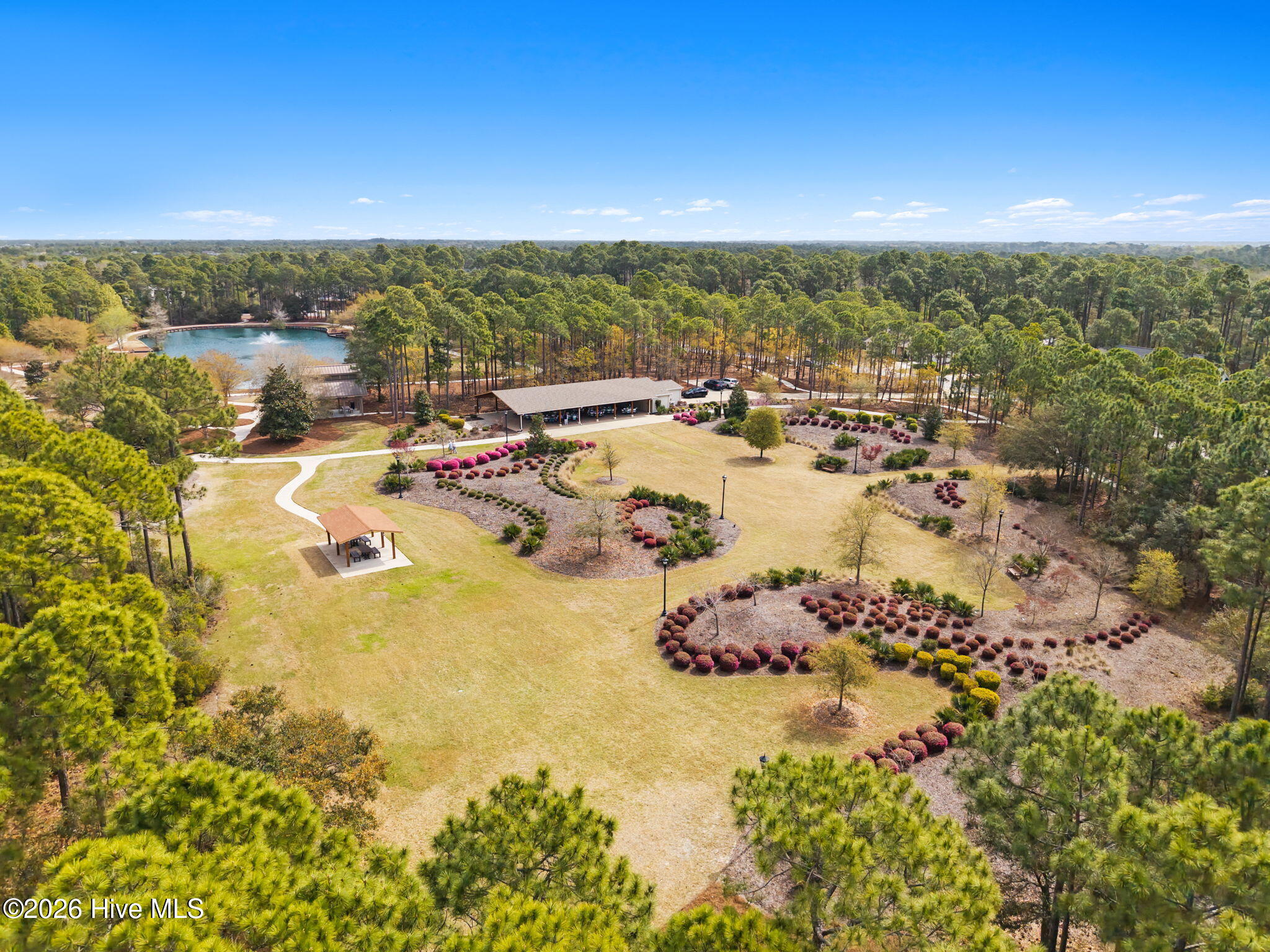 100566382 | Photo 63