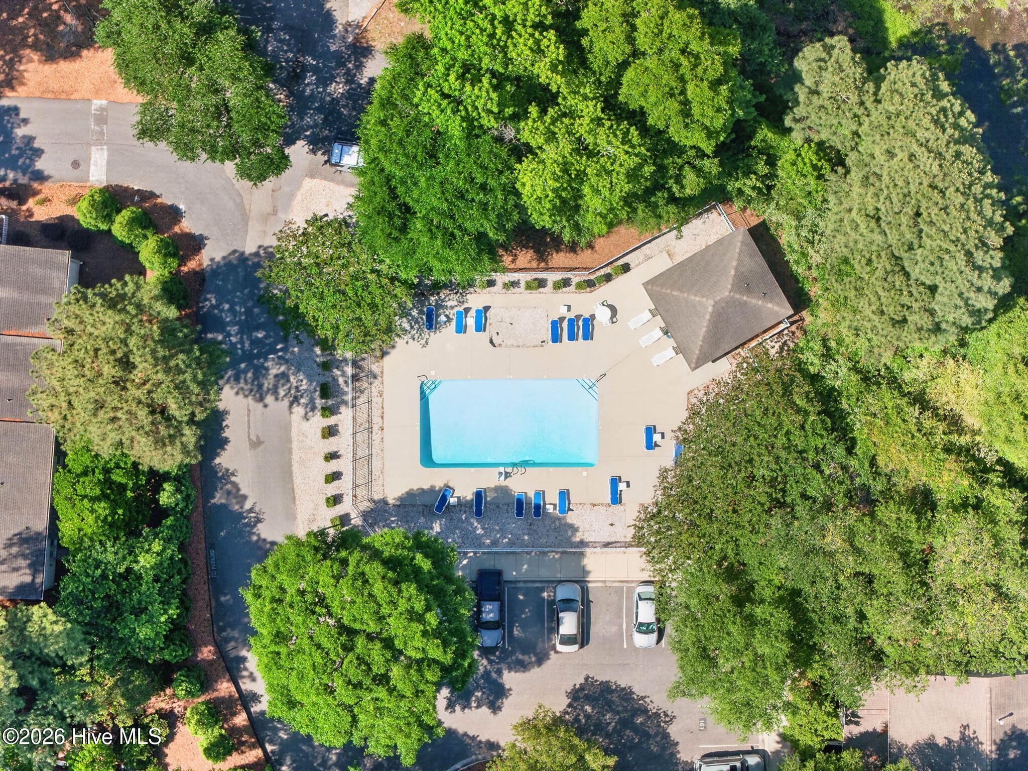 100570358 | Photo 40