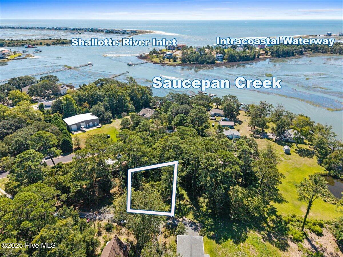 100538571 | Photo 10