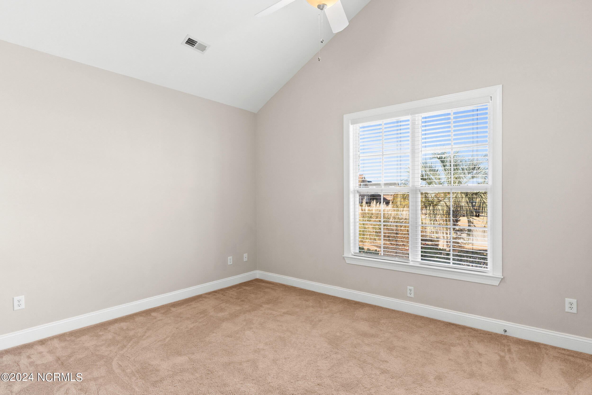 100564899 | Photo 19