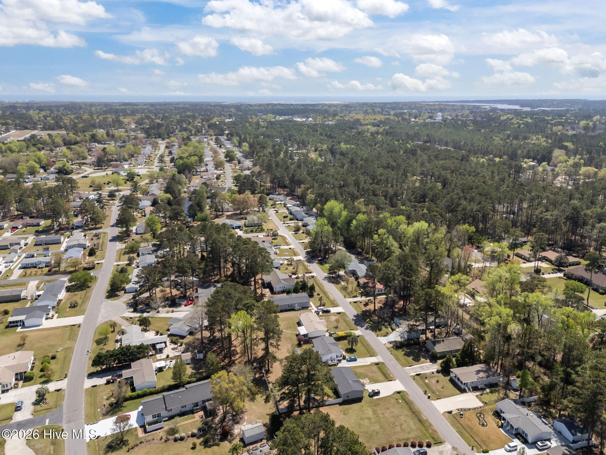 100564707 | Photo 62